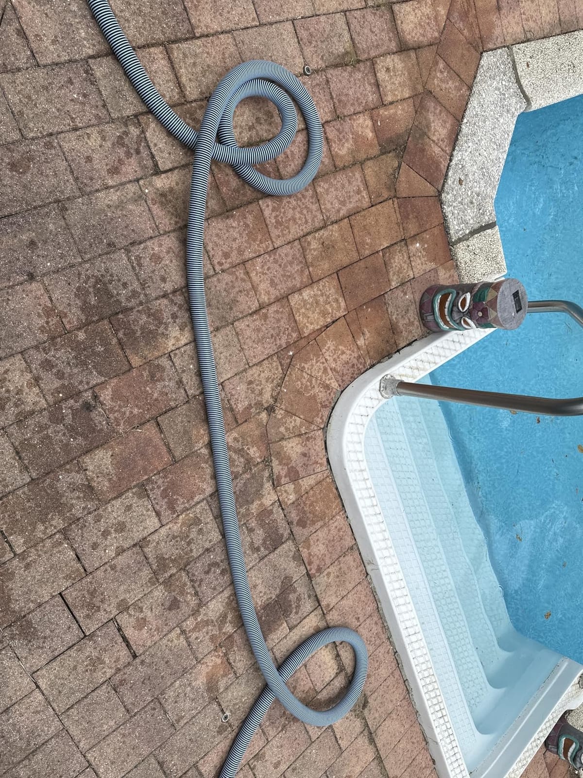 POOLWHALE Above Ground Pool Vacuum with Hose, 1-1/2 In x 24-Feet customer photo 1