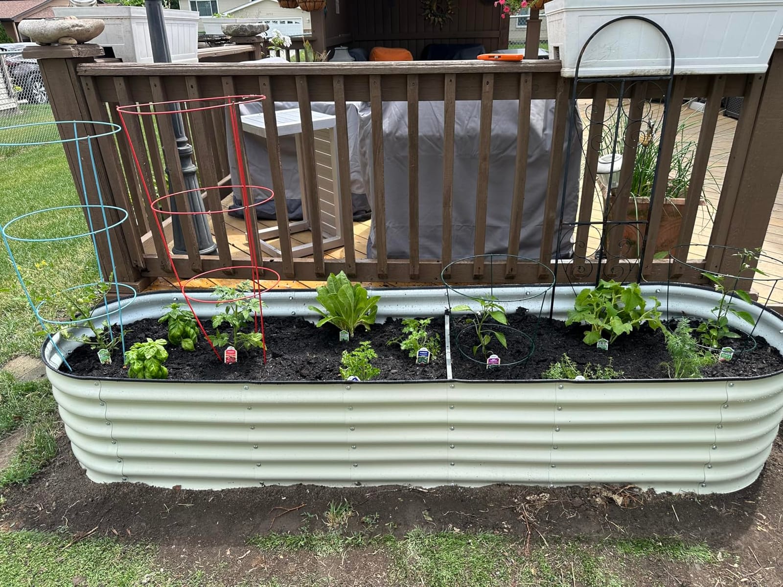 Kesfitt Raised Garden Bed, 6x3x1 FT Galvanized Steel Metal Raised Garden Bed, Oval Open-Bottom Design, 12-Inch Deep for Outdoor Vegetable & Herb Gardening, Silver customer photo 2
