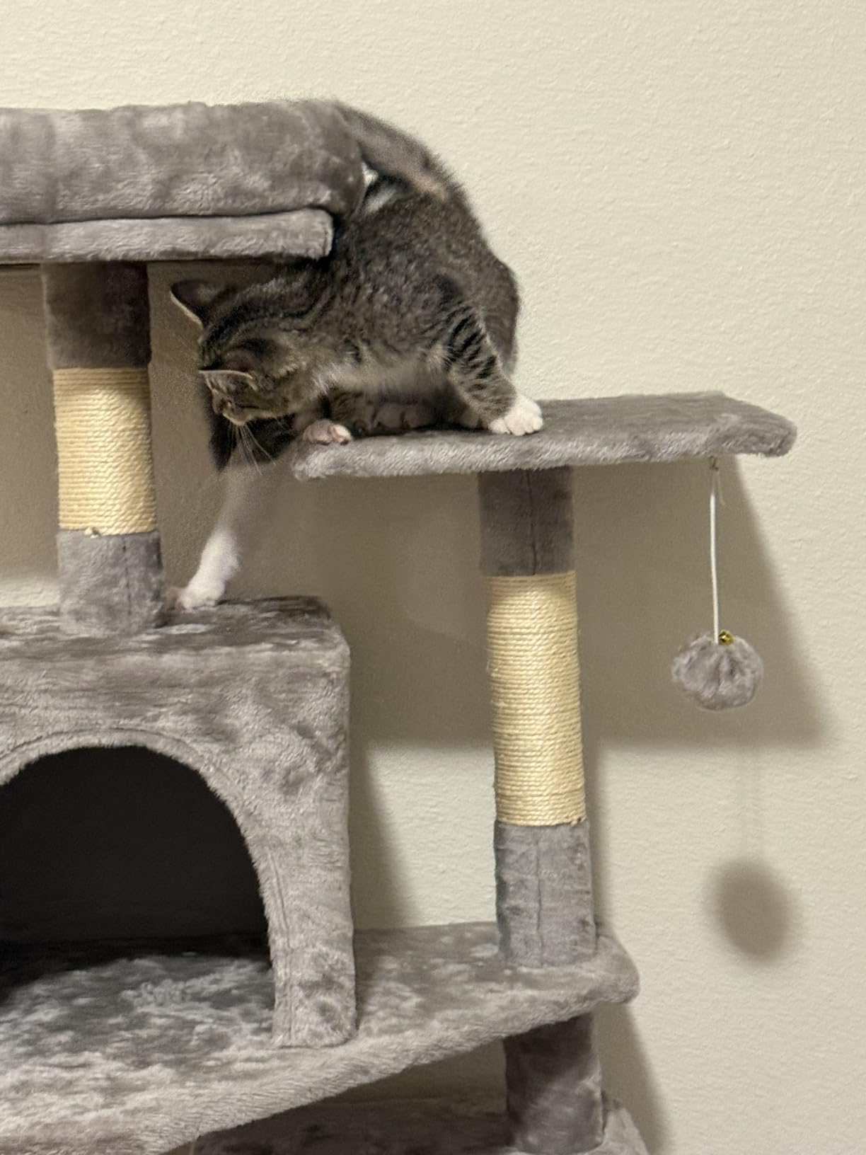 Feandrea Cat Tree, 59.5-Inch Tall Cat Tower, Multi-Level Condo, Light Gray customer photo 1