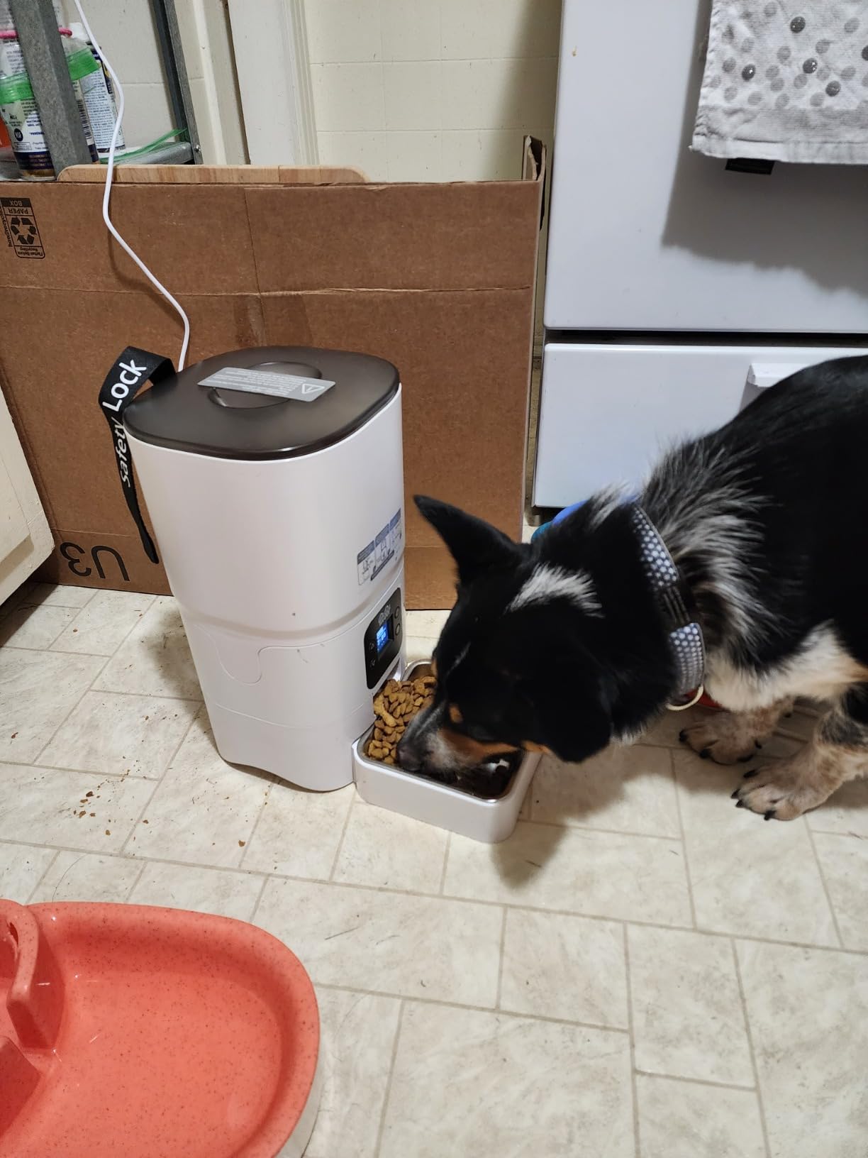 Smart Automatic Cat Feeder - 6-L Reliable Automatic Cat Food Dispenser with Display LCD Screen for Easy Set Up - (White) customer photo 2
