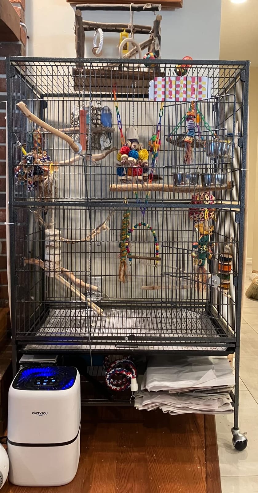 Topeakmart X-Large Parrot Cage Bird Cage with Rolling Stand for Medium Birds Cockatiels Quaker Green Cheek Sun Conure African Grey, 60.5inch customer photo 1