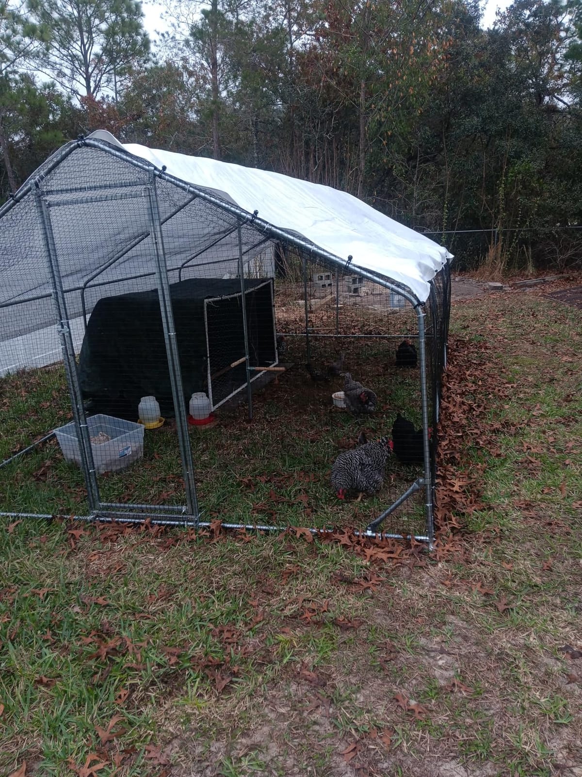 CHIKENCOOP 9.8 x 6.5 x 6.5 ft Metal Chicken Coop, Chicken Run with Cover customer photo 1