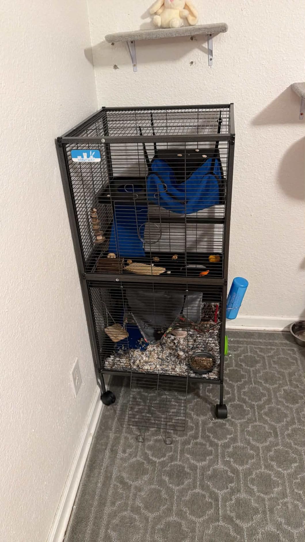 HABUTWAY 50''H Metal Small Animal Cages, Rolling Chinchilla Cage with Removable Ramps, Lagre Cage for Chinchillas/Guinea Pigs/Rabbit, Ferret Cages with Hammock & 5 Tiers, Black customer photo 2