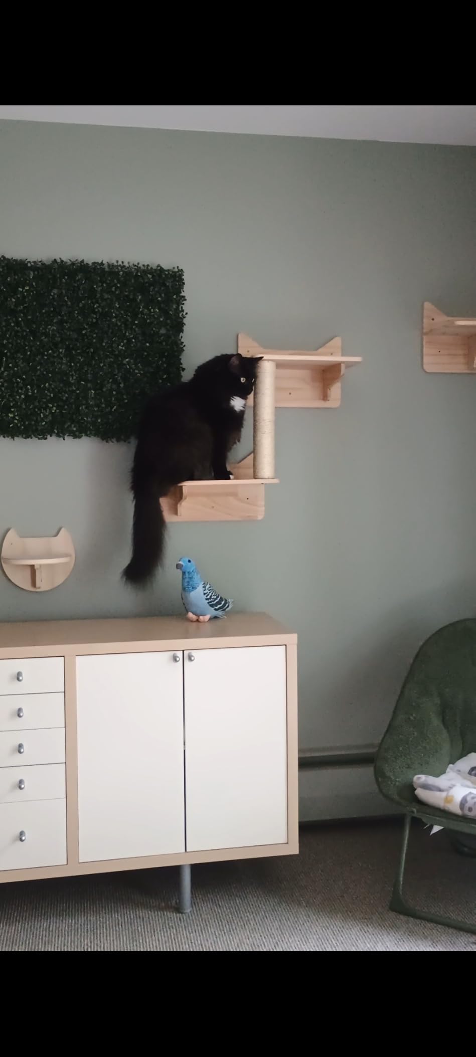 Cat Wall Shelves, 9-Piece Cat Wall Furniture for Large Cats customer photo 2