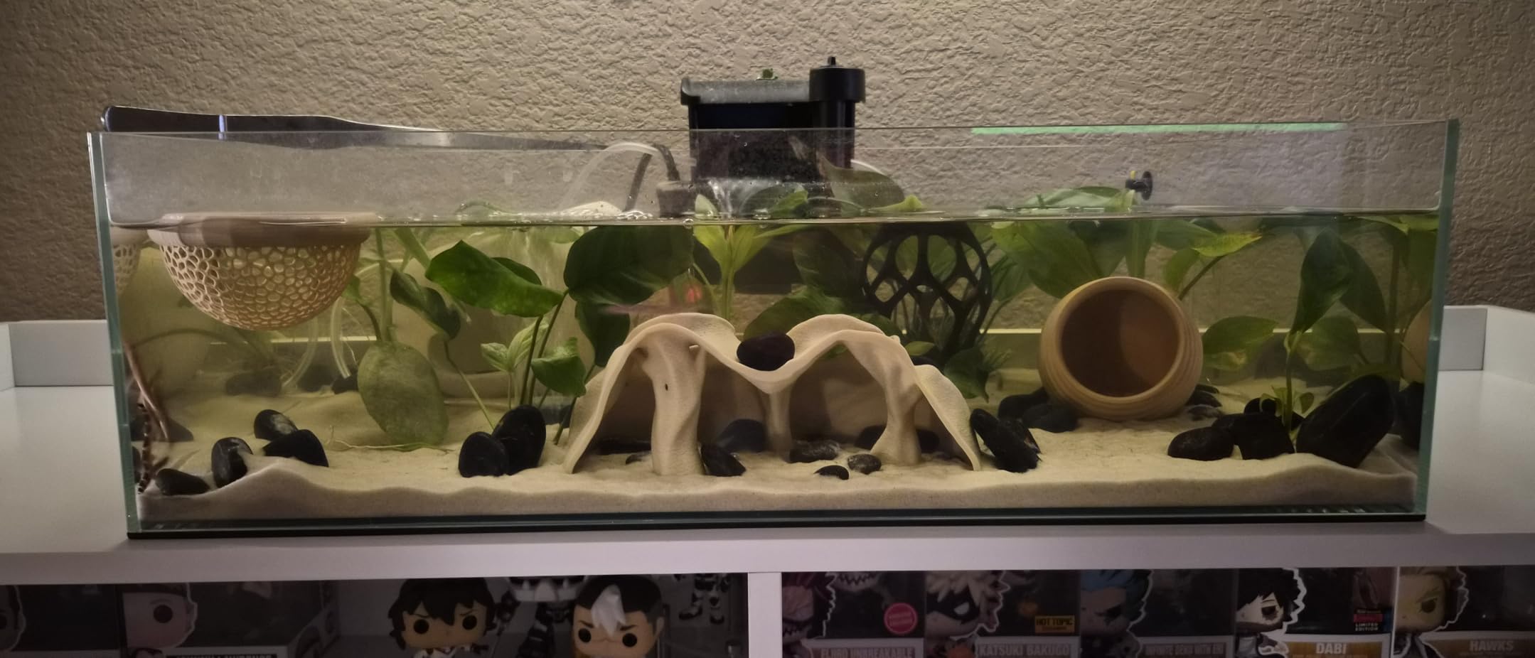 FZONE 9 Gal Shallow Aquarium, Low Iron Glass, Rimless Design (L60-W36) customer photo 2