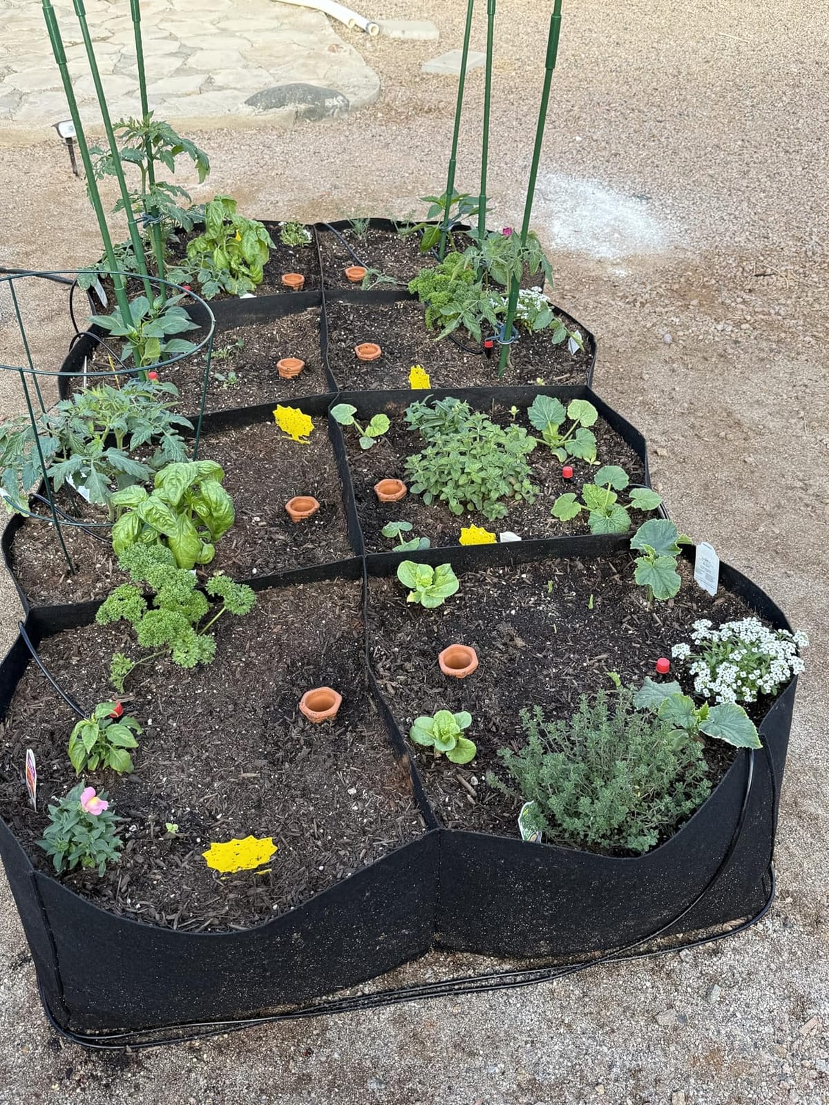 Niurui Fabric Raised Garden Bed 128 Gallon 8 Holes Rectangle 400G Thick Nonwoven Gardening Grow Bags Planting Container for Growing Herbs, Flowers and Vegetables,Black 6x3x1ft customer photo 2