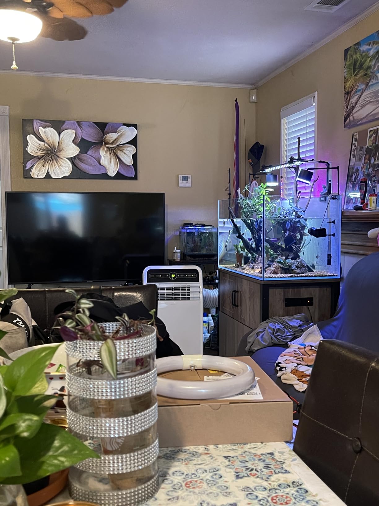 Landen Aquarium Cube 15.6 Gallon Ultra Clear Glass Rimless Fish Tank 40C customer photo 1