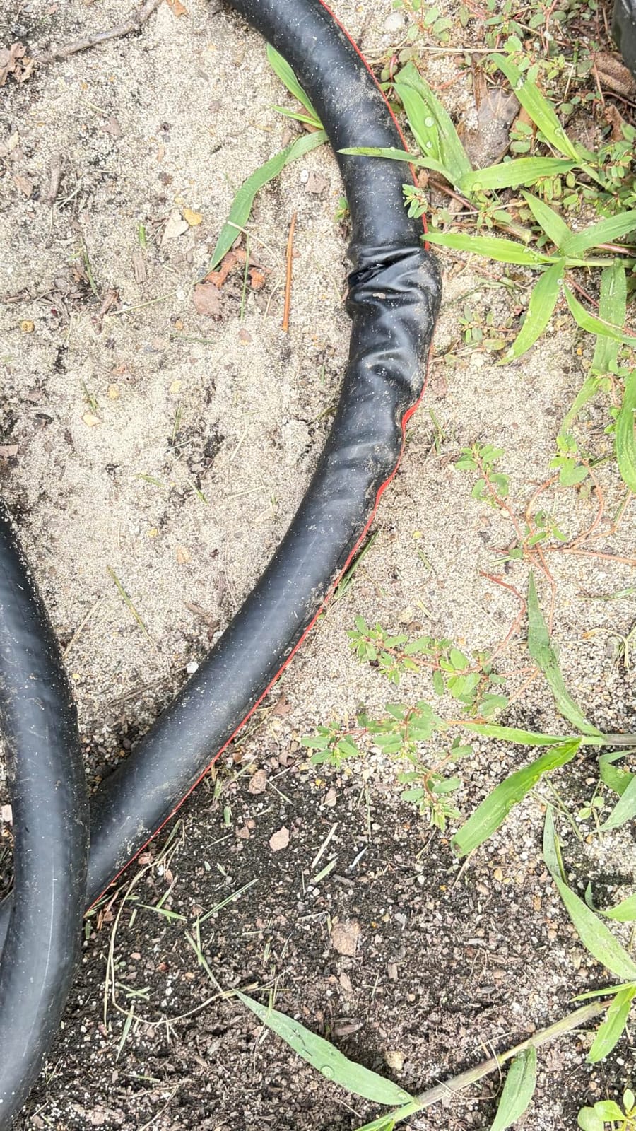 Craftsman Professional Grade Black Garden Hose, 100 Feet x 5/8 Inch customer photo 1