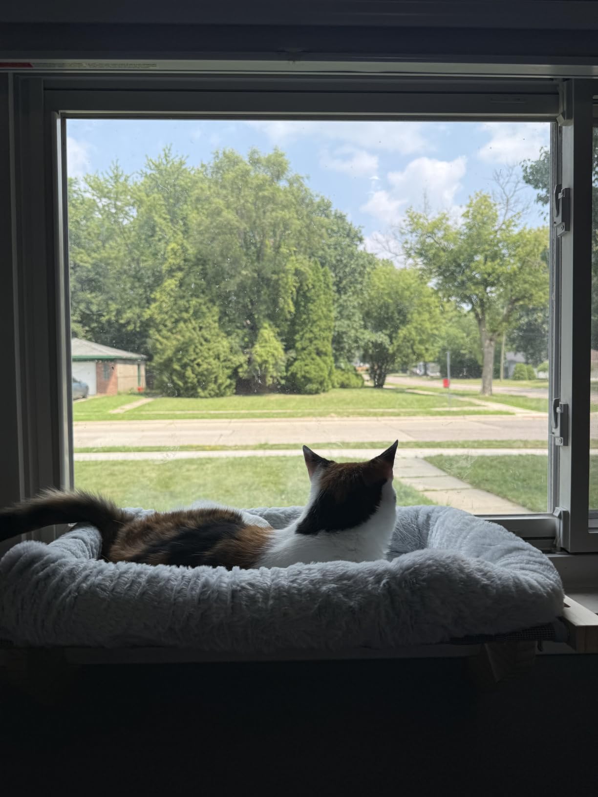 AMOSIJOY Wooden Cat Windowsill Perch with Zipper Cushion Bed, 24.4in customer photo 2