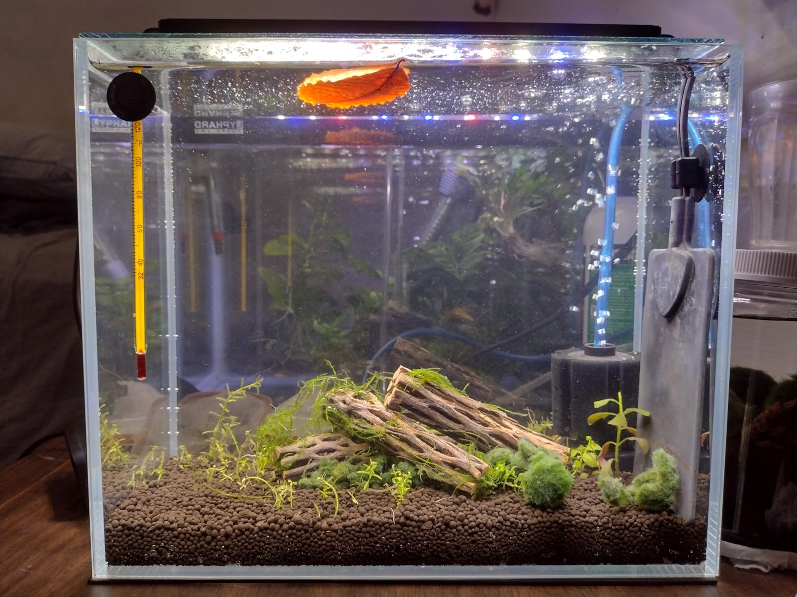 LYPHARD AQUARIUMS 15 Gallon Rimless Aquarium, Ultra Clear Glass Low Iron Rectangular Fish Tank L19.6×W13×H13.8 Inches Thickness 6mm with EVA Foam Mat Included customer photo 1