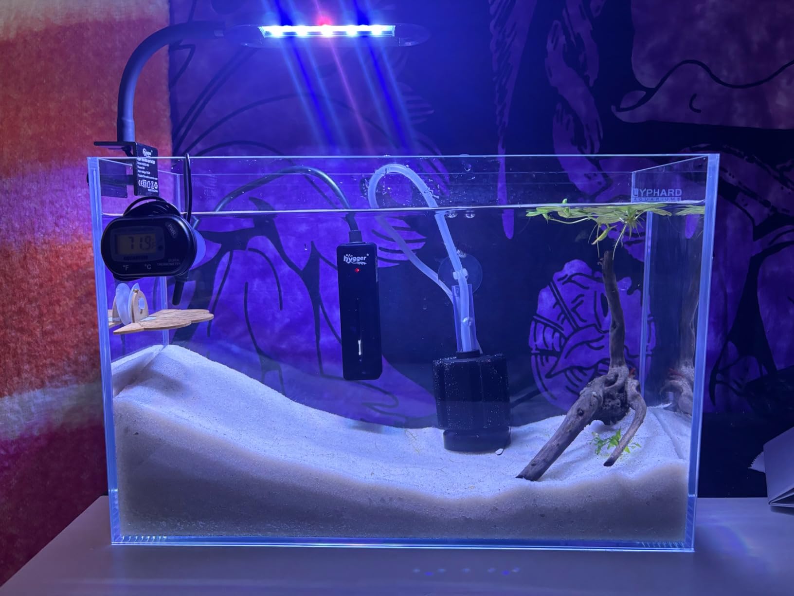 LYPHARD AQUARIUMS 15 Gallon Rimless Aquarium, Ultra Clear Glass Low Iron Rectangular Fish Tank L19.6×W13×H13.8 Inches Thickness 6mm with EVA Foam Mat Included customer photo 2