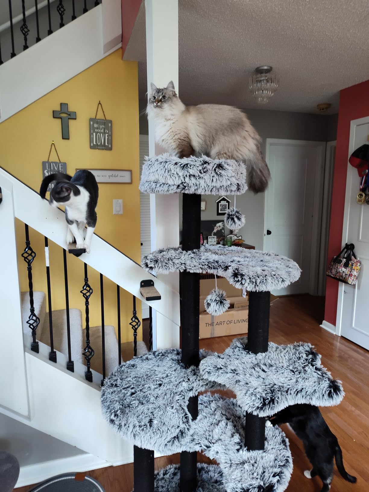 3-in-1 Cat Climbing Wall Steps with Hemp Rope, Shelves and Perches, Scratching Pads for Cats Playing and Climbing (Wood) customer photo 2
