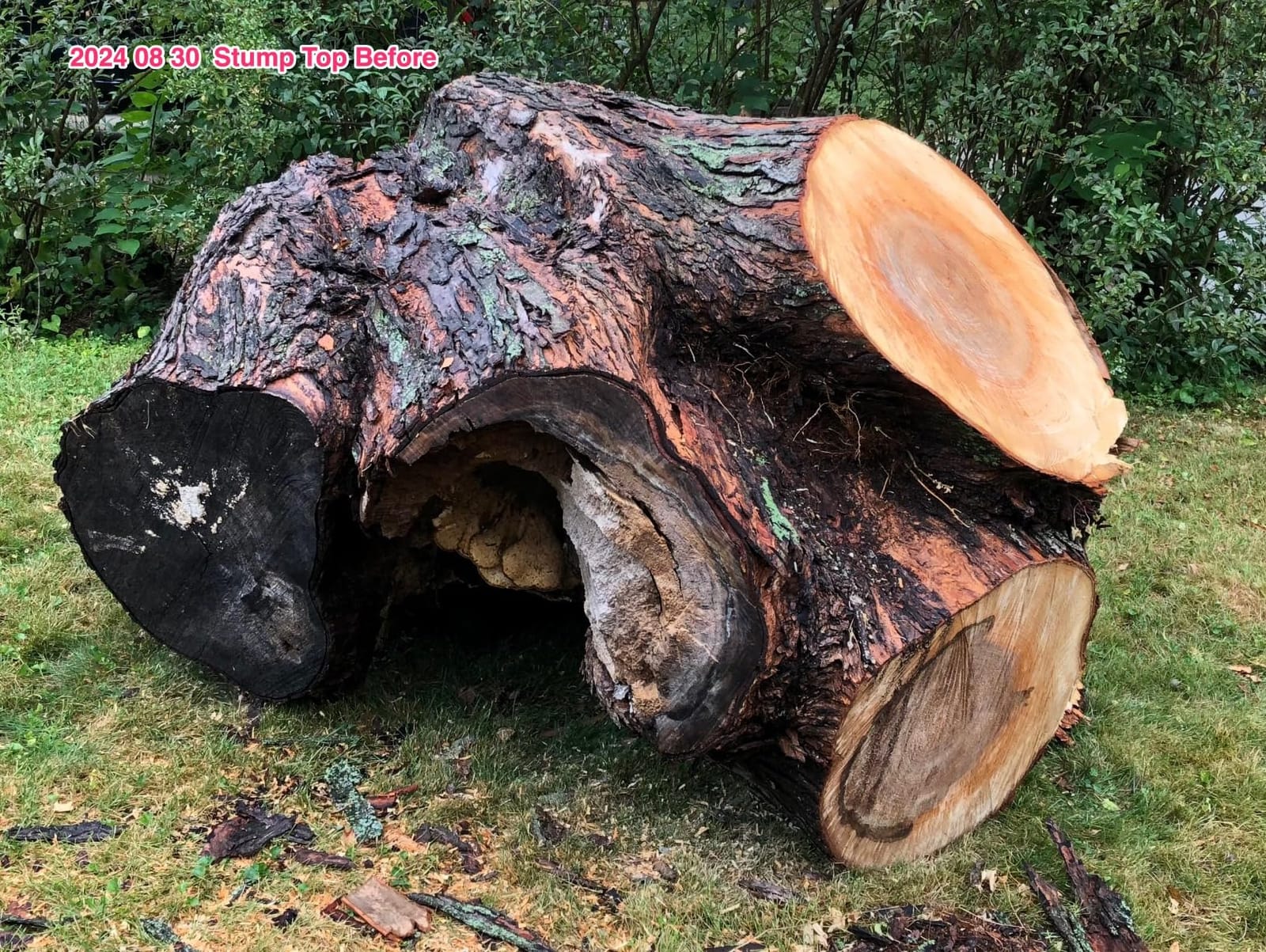 EGO POWER+ Chain Saw, 20” Battery Powered Chainsaw, Electric Cordless, Battery and Charger Not Included – CS2000 customer photo 2