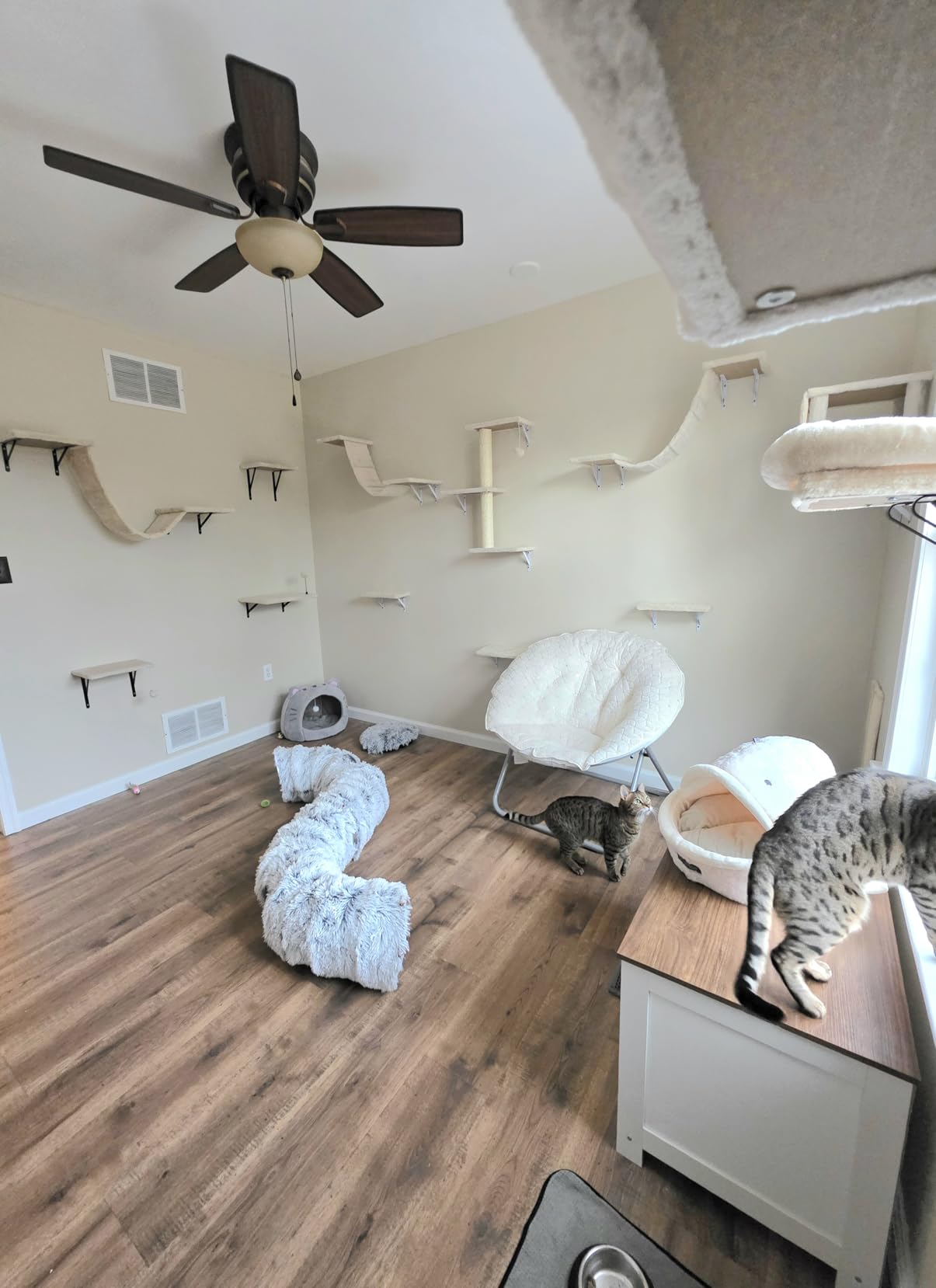 Cat Wall Shelves, Space-Saving Wood Cat Wall Furniture for Indoor Cats customer photo 2