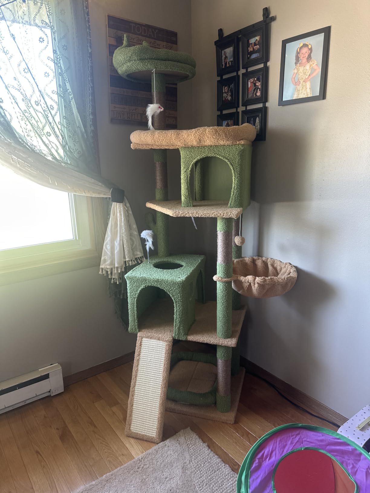 Globlazer S72 Heavy Duty Cat Trees for Large Cats 20 lbs+, Dark Gray customer photo 1