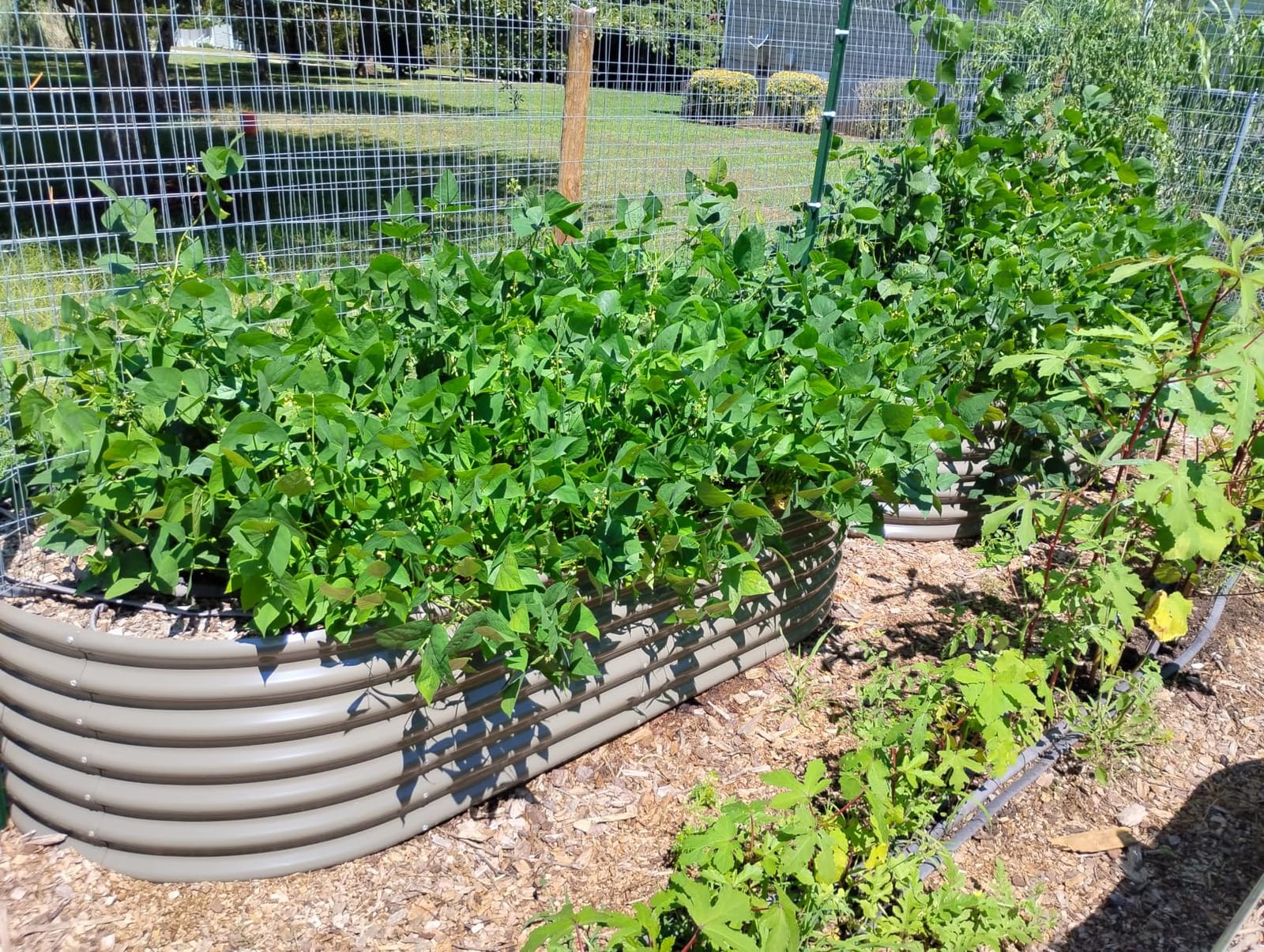 Anleolife 8x4x2ft Oval Deep Root Galvanized Raised Garden Bed, Quartz Grey customer photo 2