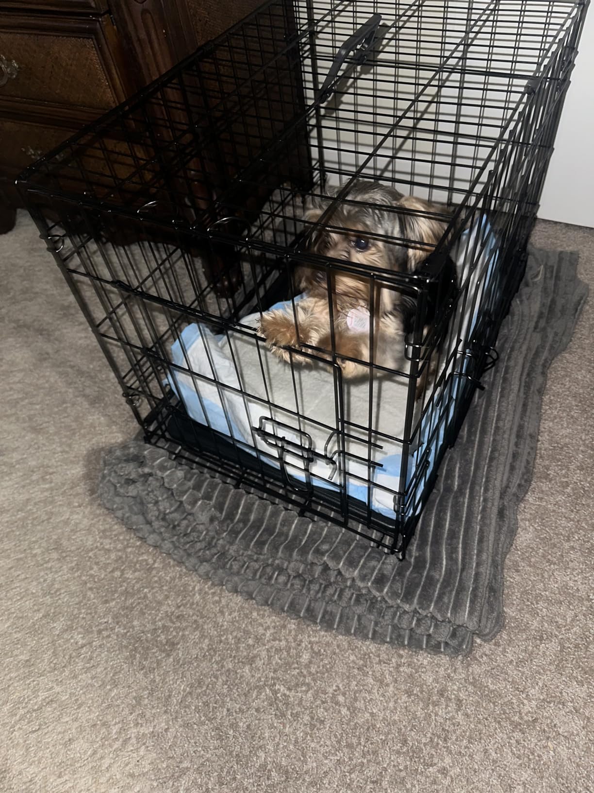 Sweetcrispy 48 Inch Dog Crate, Medium Large Dog Cage, Foldable Pet Kennel customer photo 1