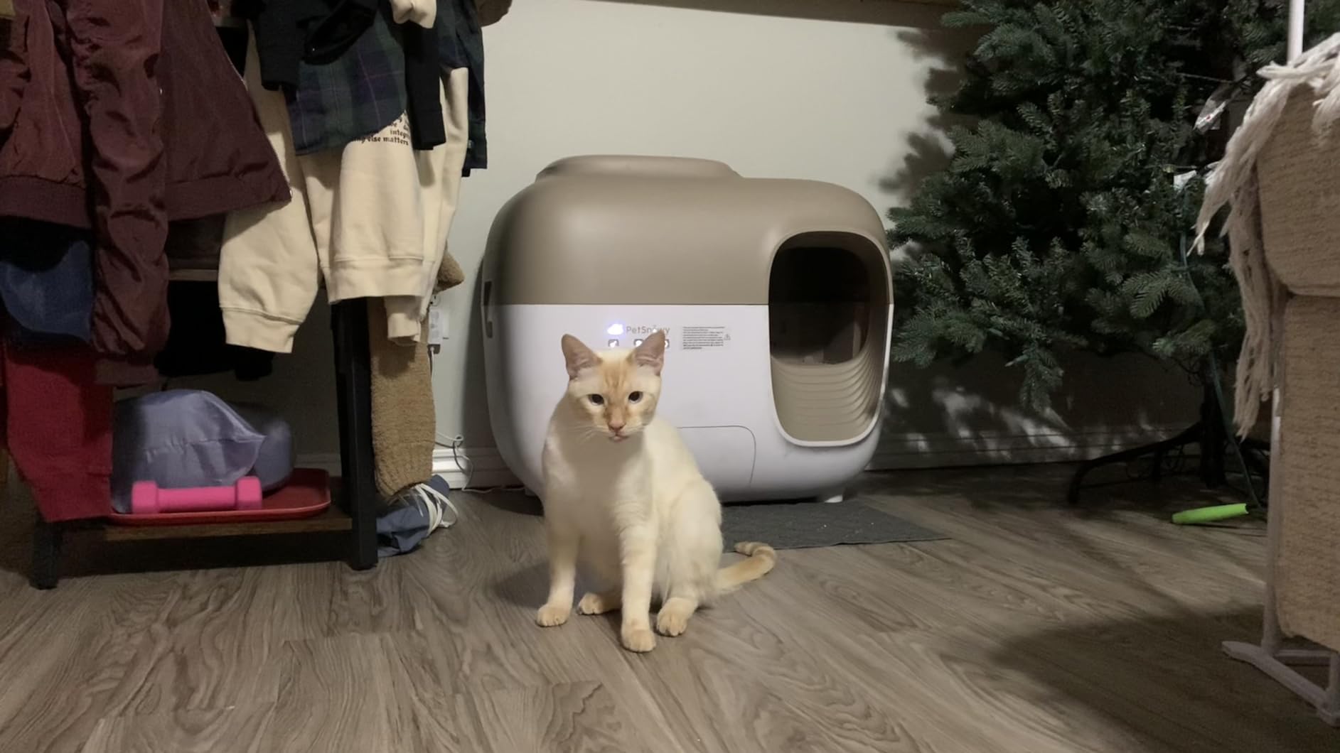 PetSnowy Self-Cleaning Automatic Cat Litter Box with Odor Control TiO2 System, Robot Litter Box with Auto-Packing, App Control, Large Cats & Multiple Cats (2026 Premium Version) customer photo 1