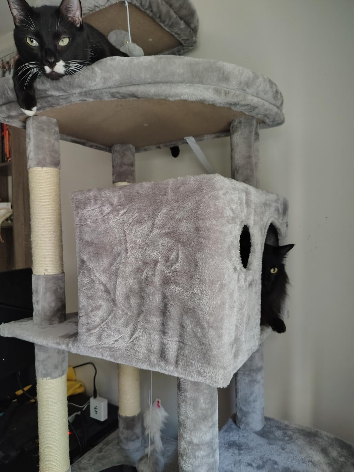 Globlazer Giant Cat Tree for Indoor Large Cats, 83in, F83, Dark Grey customer photo 2