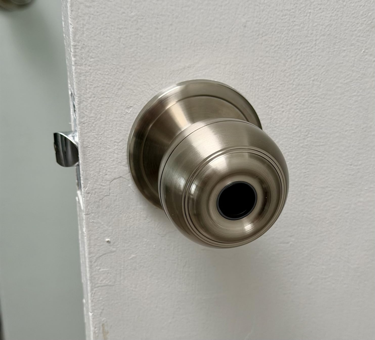 Fingerprint Door Lock, Smart Fingerprint Door Knob with Lock, Silver customer photo 1