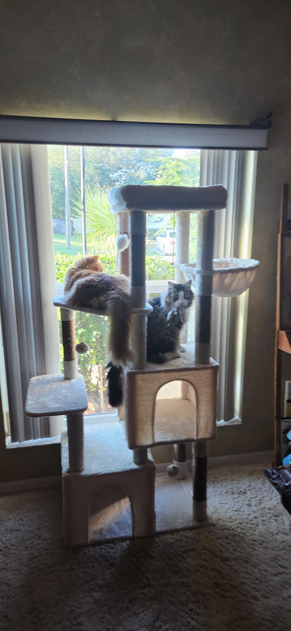 Globlazer Heavy Duty Cat Trees for Big Cats Maine Coon, F61, Dark Grey customer photo 1