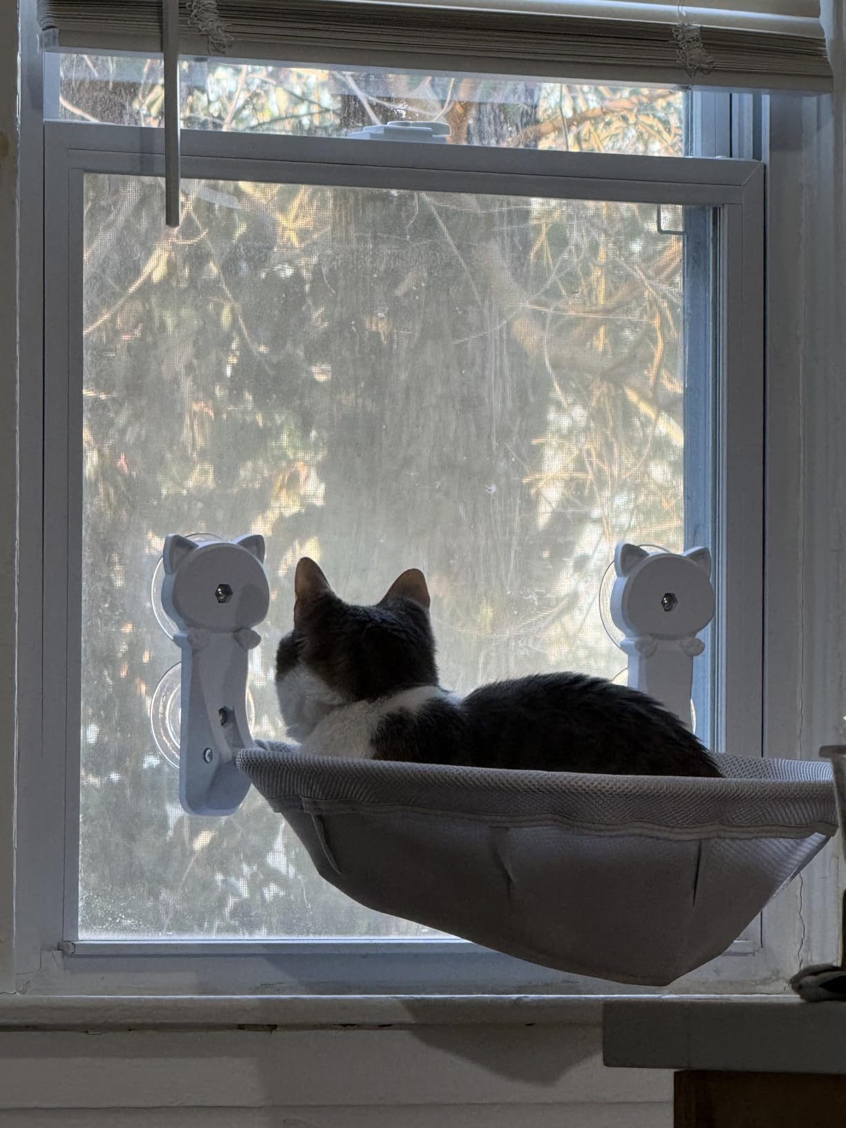 JUNSPOW Cat Window Perch Cordless, Foldable & Stable Cat Beds- Breathable Cat Window Hammock for Overlooking, Sunbathing and Climbing - Maximum Hold Up to 40lb customer photo 2