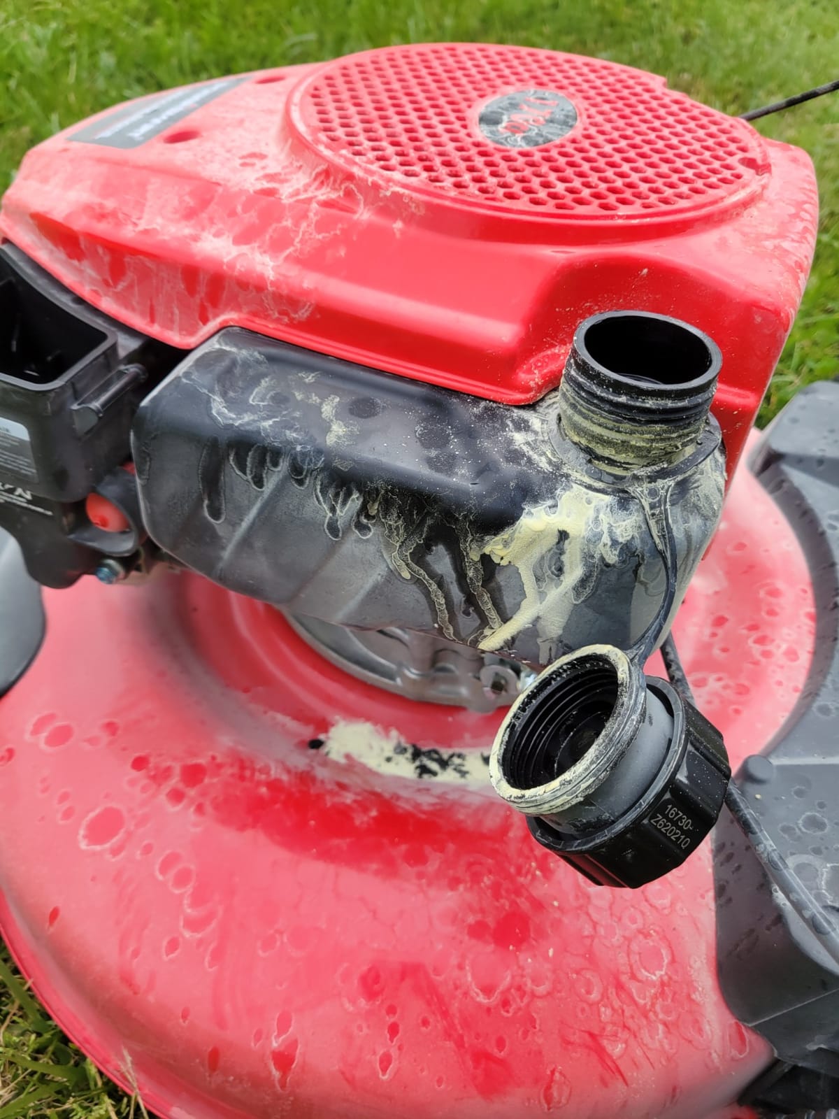 14 Inch Small Corded Lawn Mower with 12.5-Amp Motor, Ergonomic Handle customer photo 1
