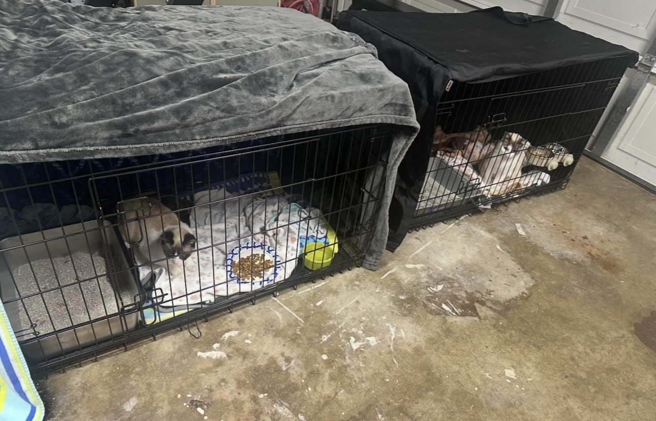 Yaheetech 42inch Double Door Dog Crate w/Divider, Collapsible Metal Kennel customer photo 2