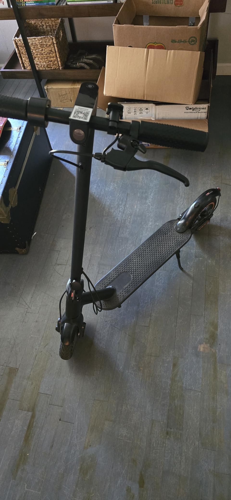 Electric Scooter for Adults, 8.5