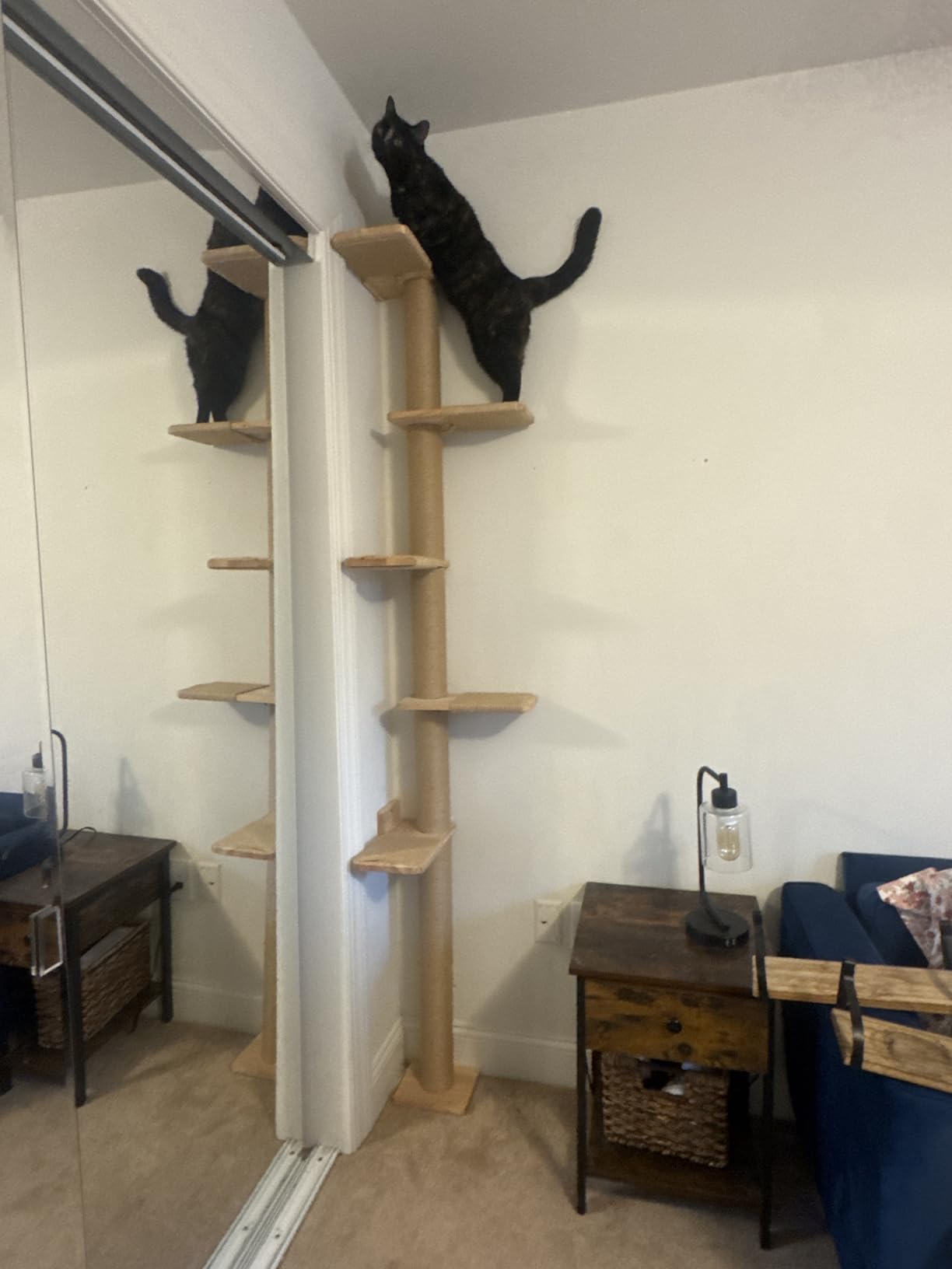 FUKUMARU Wall-Mounted Cat Tree for Small & Medium Cats customer photo 1