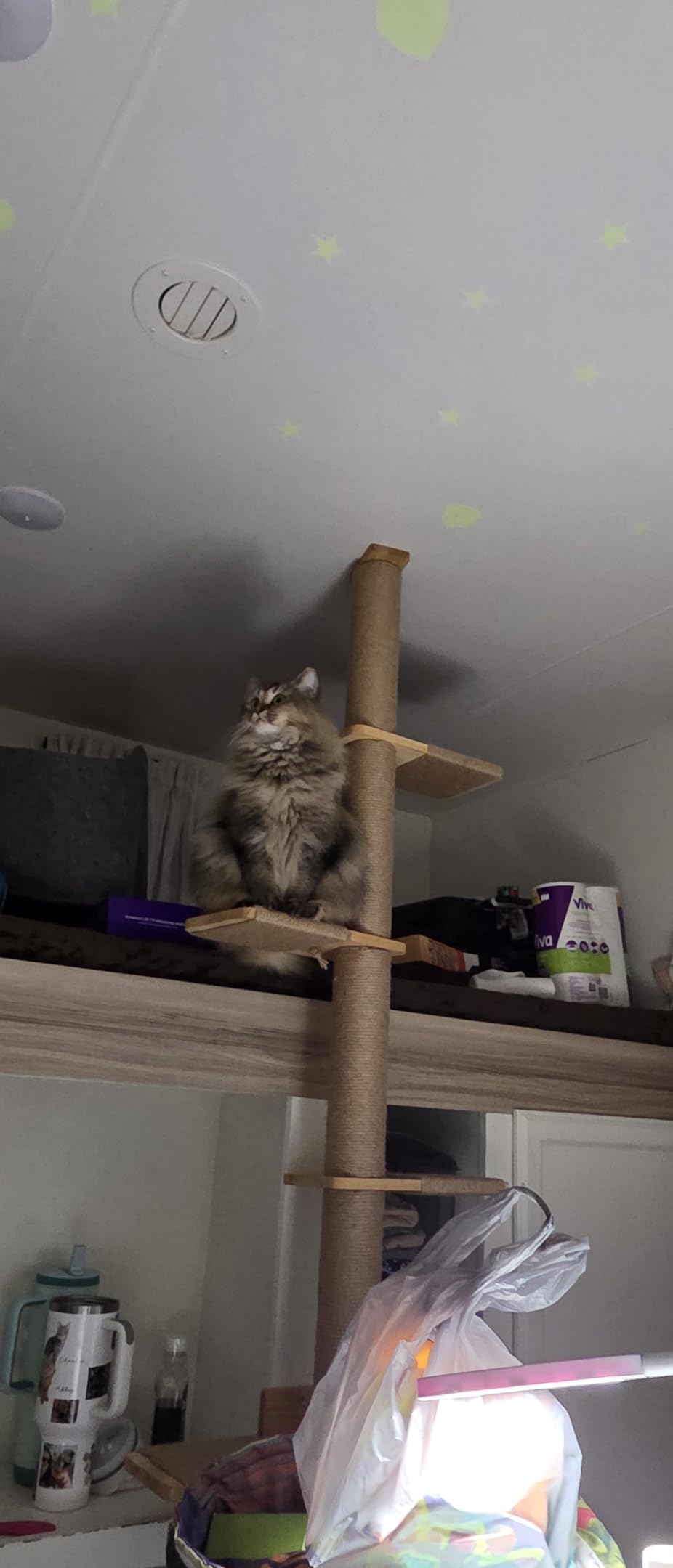 FUKUMARU Wall-Mounted Cat Tree for Small & Medium Cats customer photo 2