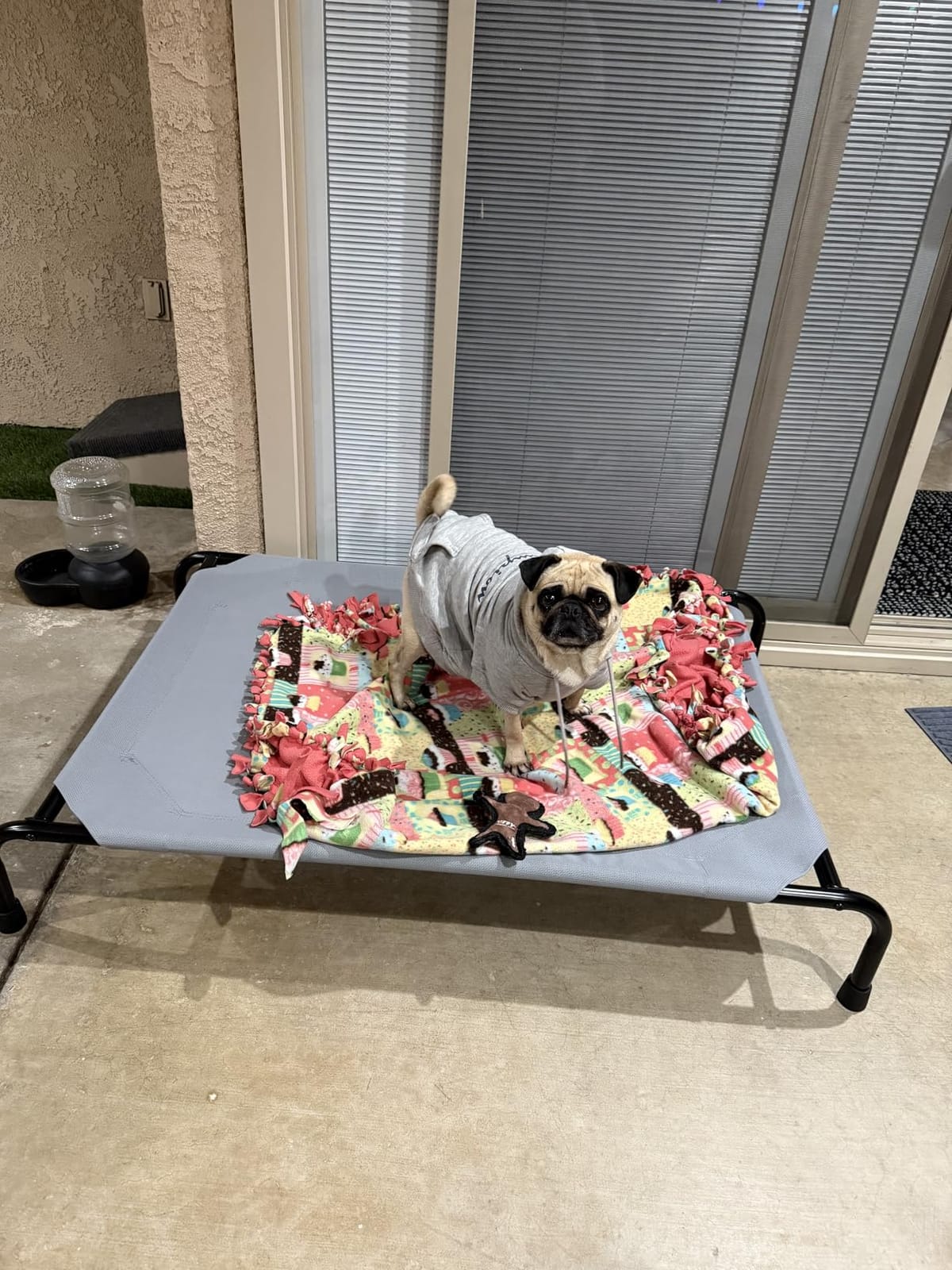 Simple Trending Raised Dog Bed for Large Dogs, Waterproof XL Dog Cot, Grey customer photo 2