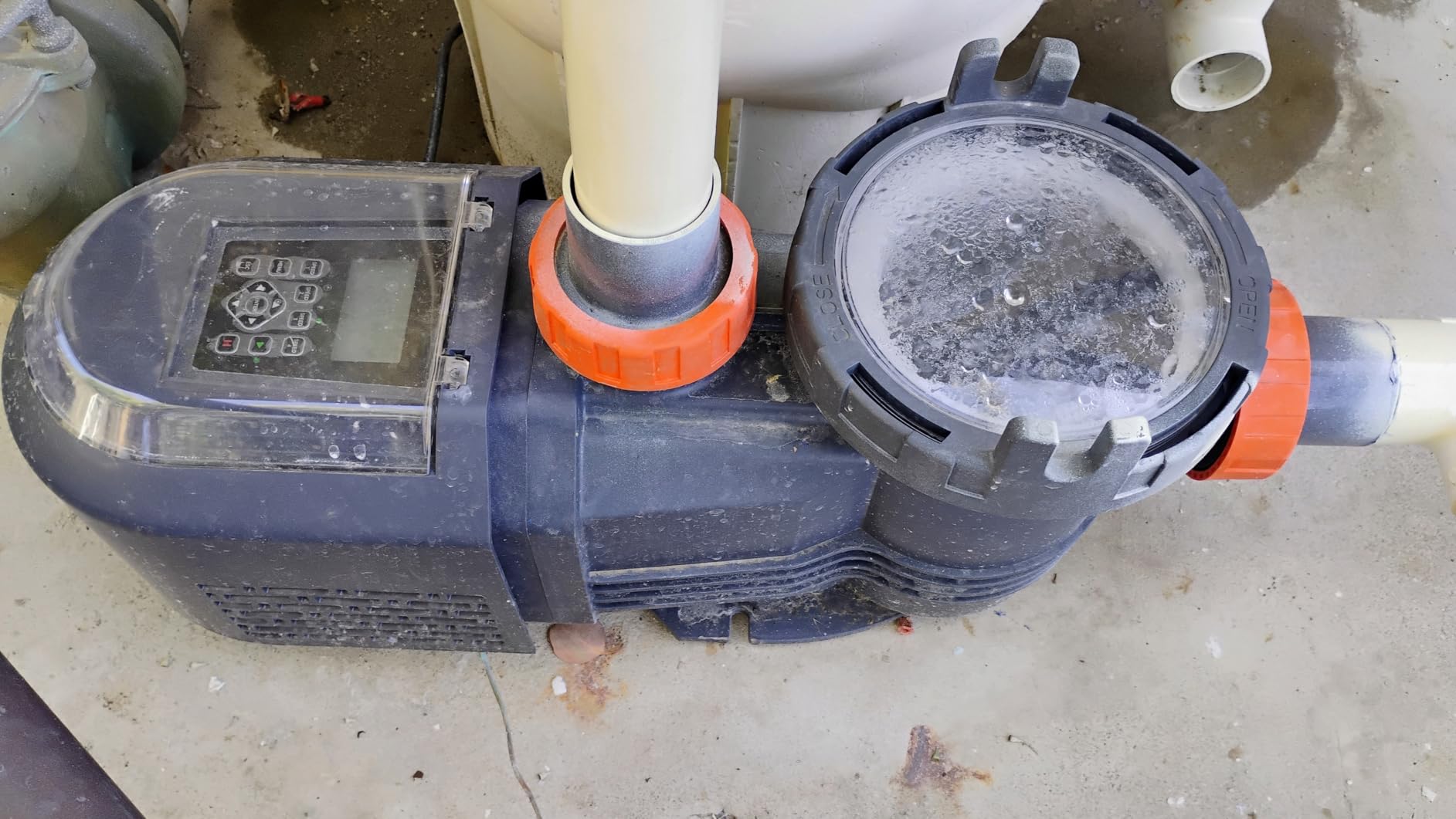 2.5HP Variable Speed Pool Pump for In Ground and Above Ground Pools 220V customer photo 1