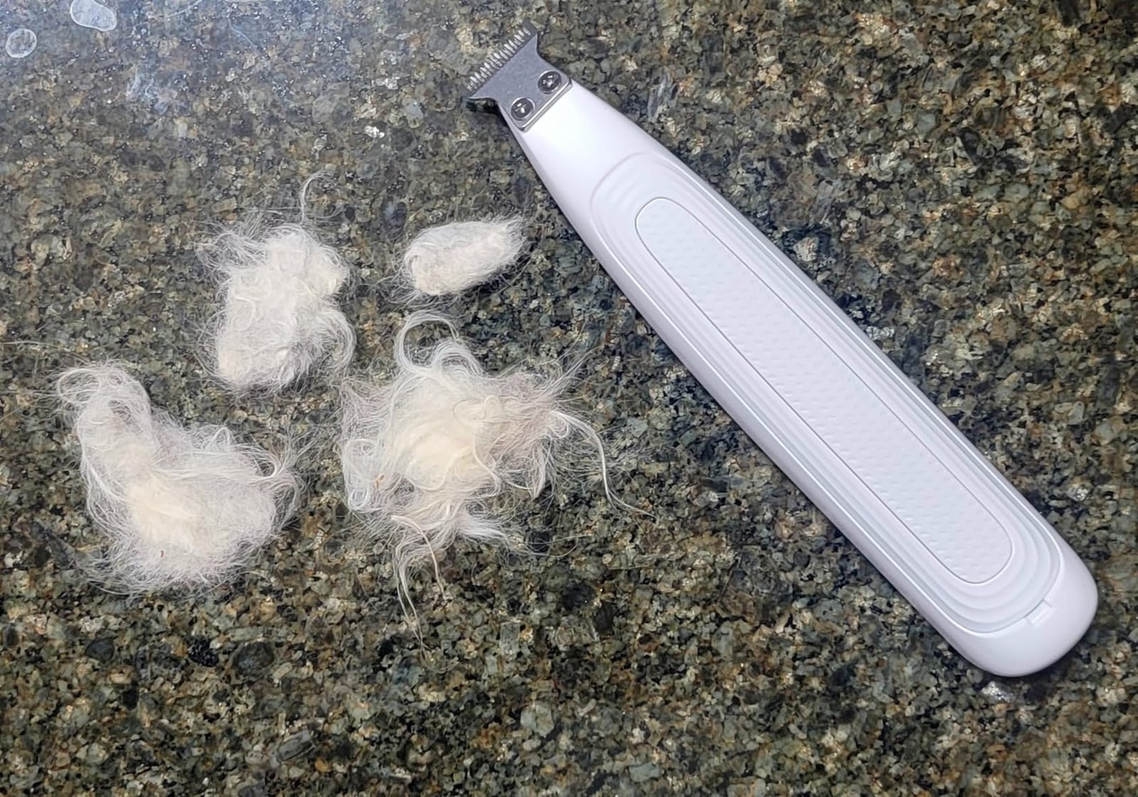Mcbazel Pet Micro Precision Trimmer, Multifunctional Pet Hair Trimmer Waterproof Rechargeable Shaver with LED Light for Paws Eyes Ears Face Buttocks for Small Dogs and Cats,50dB Quiet Shave. customer photo 1