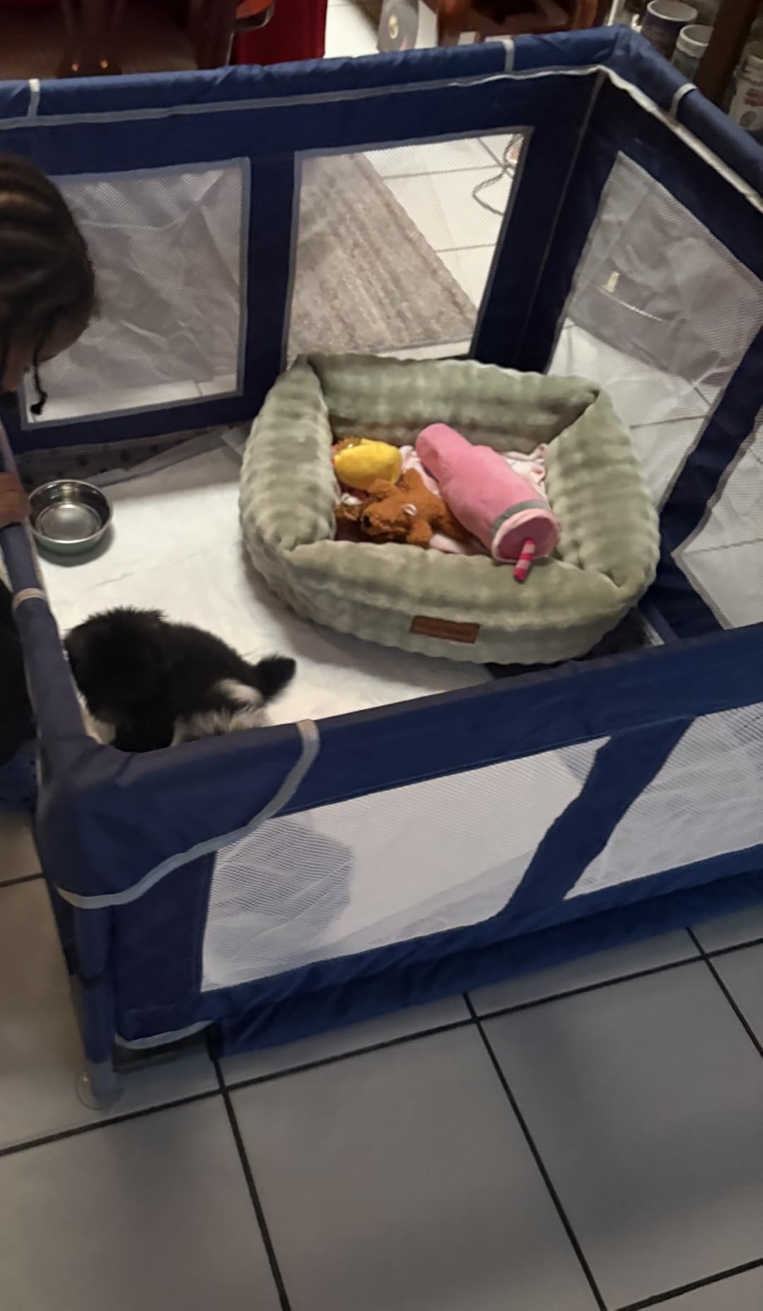42 × 42 inch Dog Playpen with Pee Pad, Soft Puppy Playpen, 25 Height Pet Playpen for Small Dogs and Small Animals, Dog Fence Indoor, Play Yard with Zipper Door customer photo 1