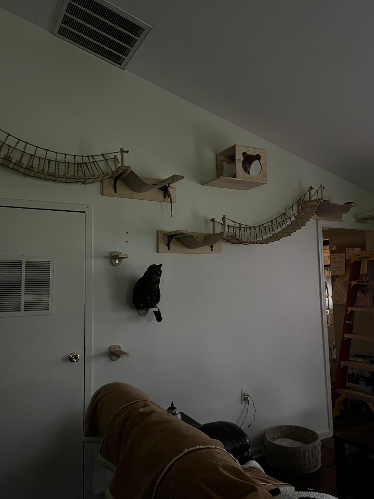PETKABOO Cat Wall Shelves Cat Wall Furniture with Condo, Hammock, Scratching Pad, Platform and Ladder customer photo 1