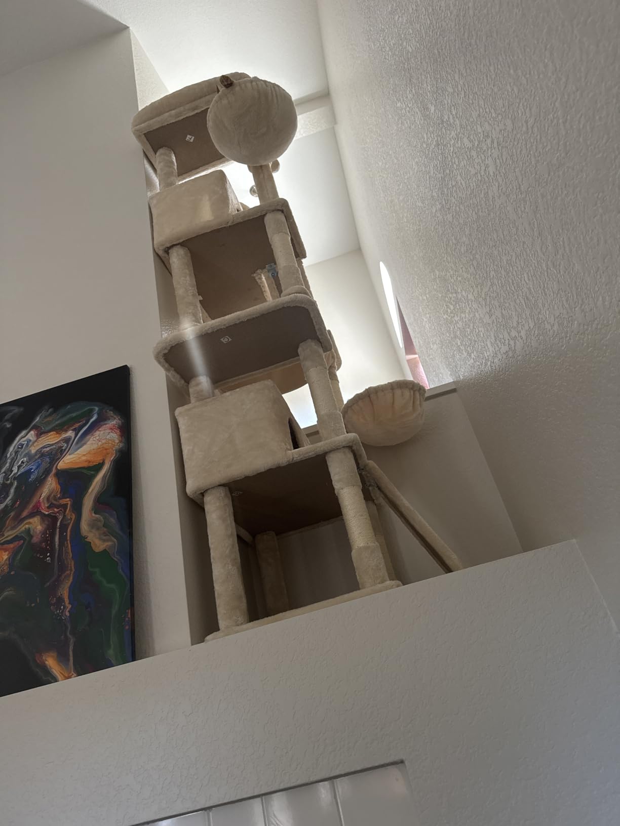 SHA CERLIN 81in Multi-Level Tall Cat Tree Tower for Indoor Kitties/Larger Cat Condo Furniture with Hammock/Cozy Pussycat Perches/Sisal Scratching Posts/Pet House/Wide Base/Dark Grey customer photo 2