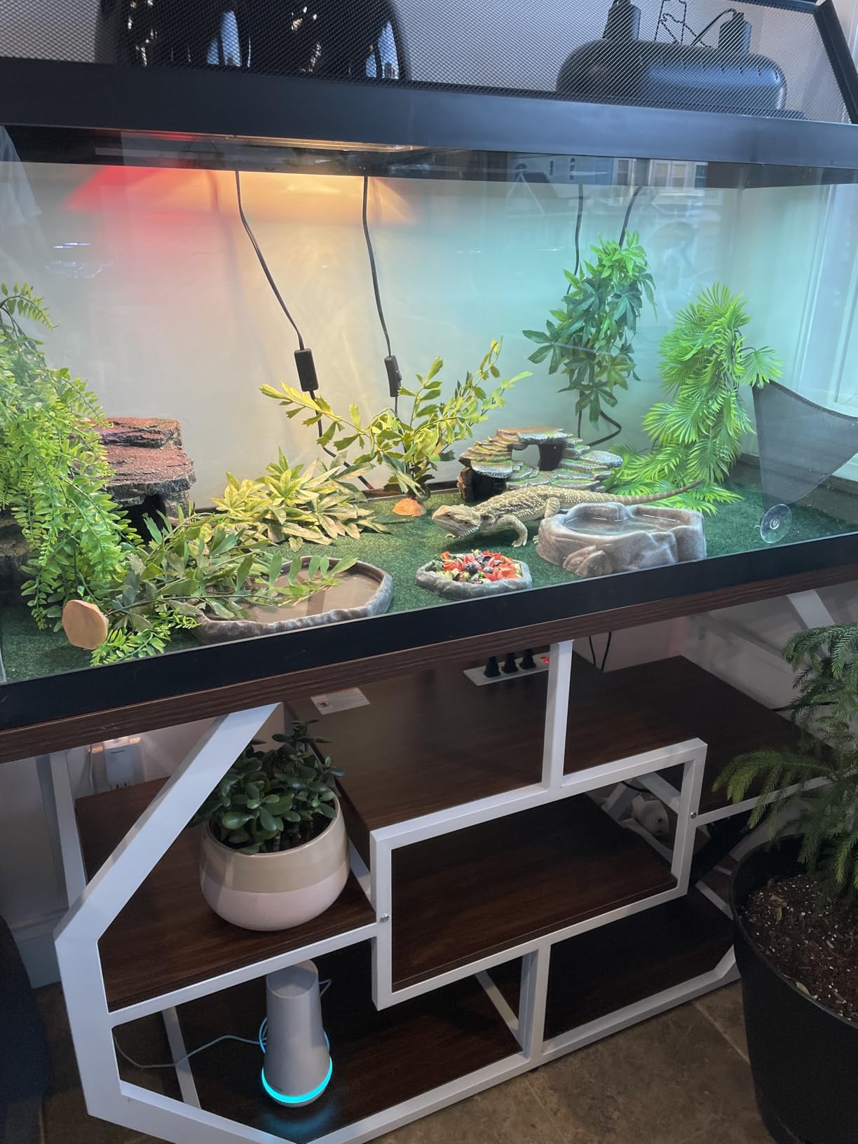 DWVO 55-75 Gallon Aquarium Stand 29 with Power Outlet,Black & Gold customer photo 2