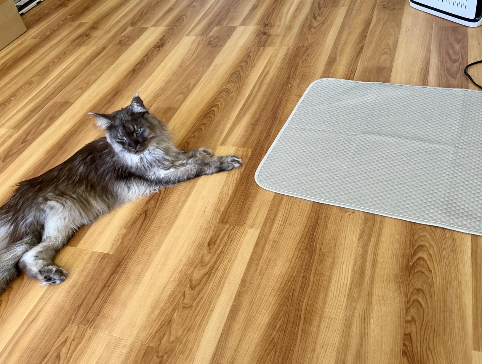 Buvlnee Summer Dog Cooling Mat Washable Ice Silk Self Cool Pad for Small Medium Large Dogs and Cats, Pet Sleeping Pad for Crate, Bed, Indoor & Outdoor Floor, Car Seats customer photo 2