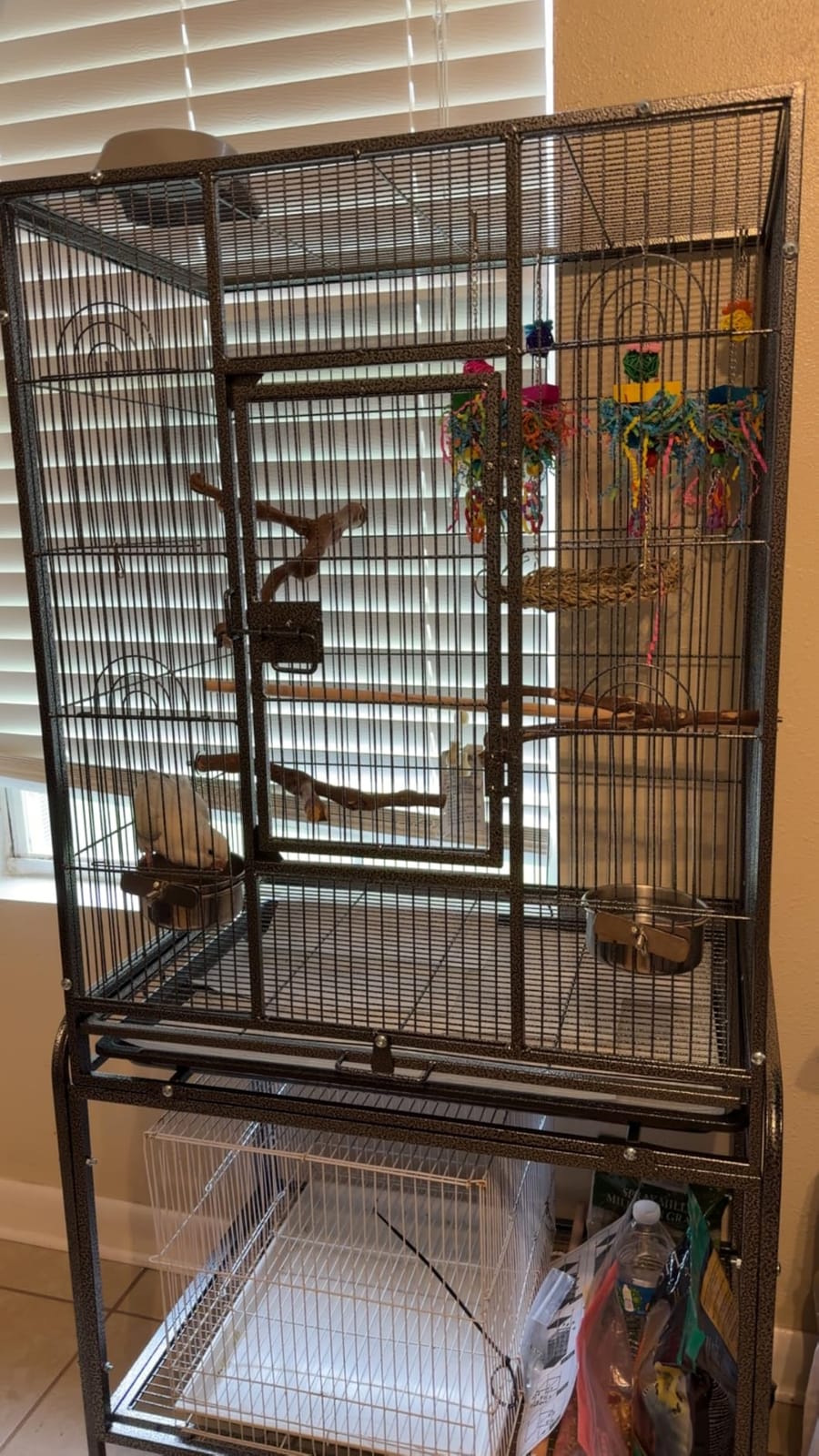 VINGLI 53-inch Bird Cage with Wheels, Durable Wrought Iron Parakeet Cage with Slide Out Tray, Black Bird Cages for Parakeets/Lovebird/Cockatiels/Budgies and Other Small/Medium Birds (Black, 53 inch) customer photo 2