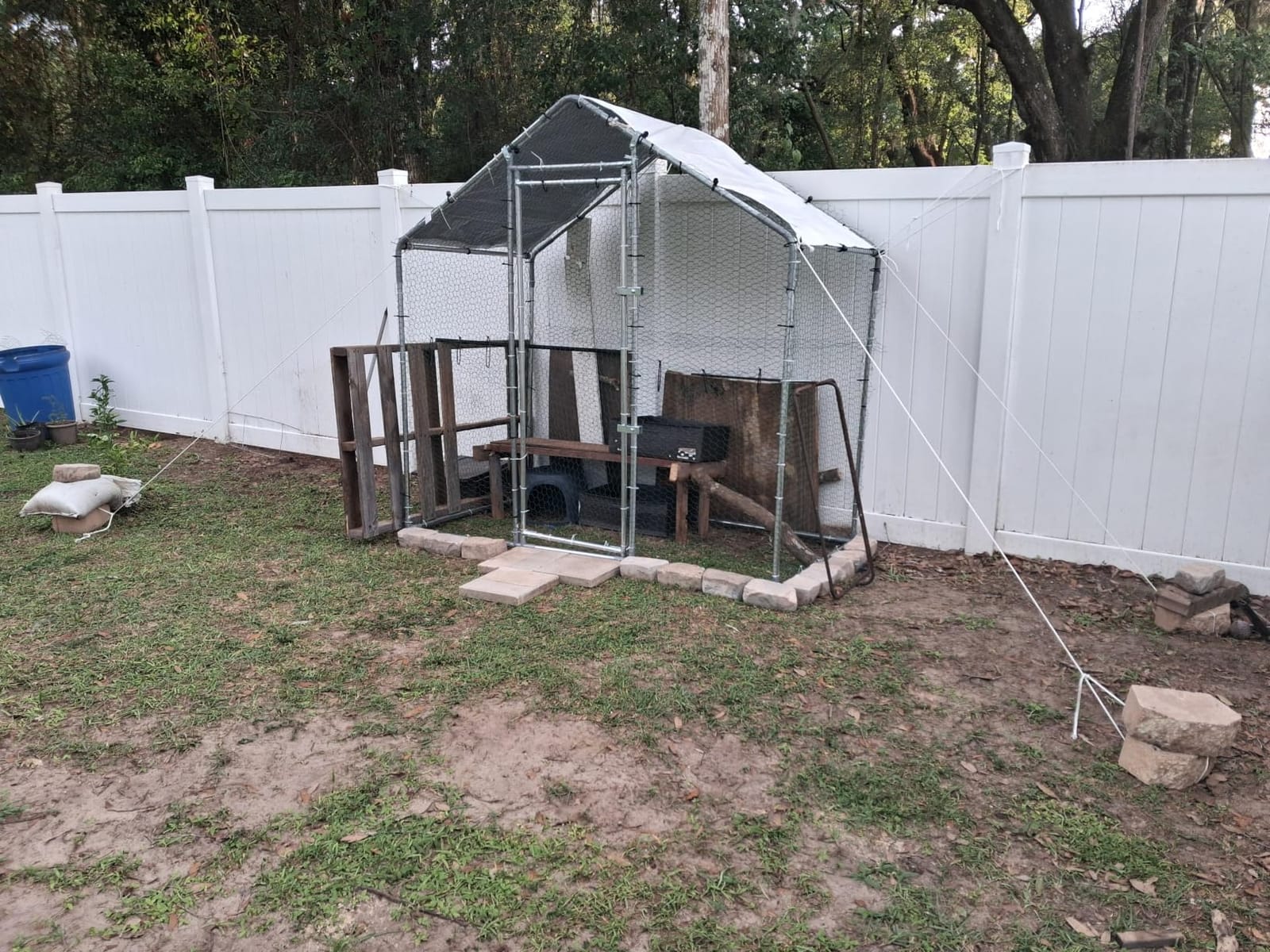 VEVOR Metal Chicken Coop, 6.56x6.56x6.56ft Large Walk-in Chicken Run with Cover, Spire Roof Hen House Enclosure with Security Lock, Outdoor Duck Rabbit Cage, Poultry Pen for Backyard, Farm, Yard customer photo 1