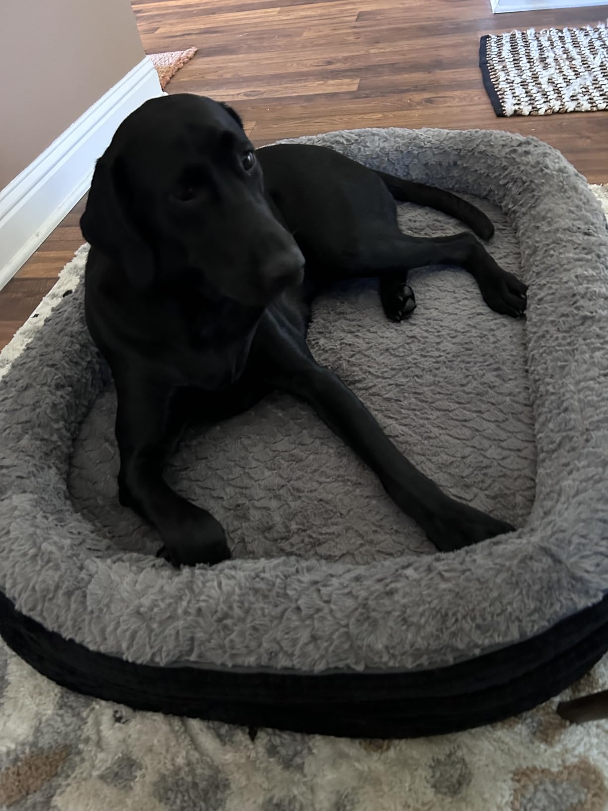 JOEJOY XL Orthopedic Dog Bed for Large Dogs, 360° Oval Bolster, 42