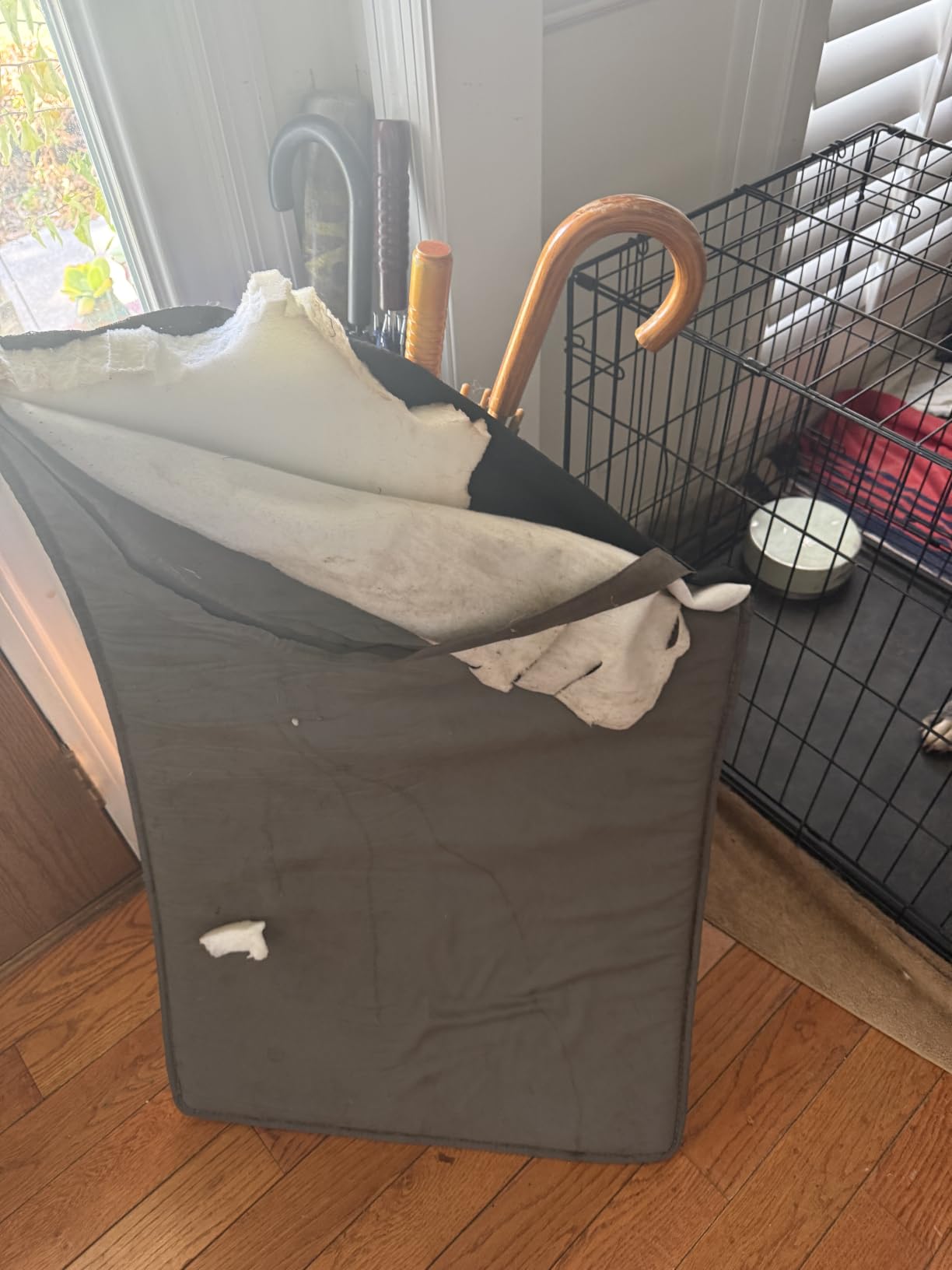 XL Large Dog Crate Pad Mat, Waterproof Wipeable Pad, 41x27, Graphite Grey customer photo 2