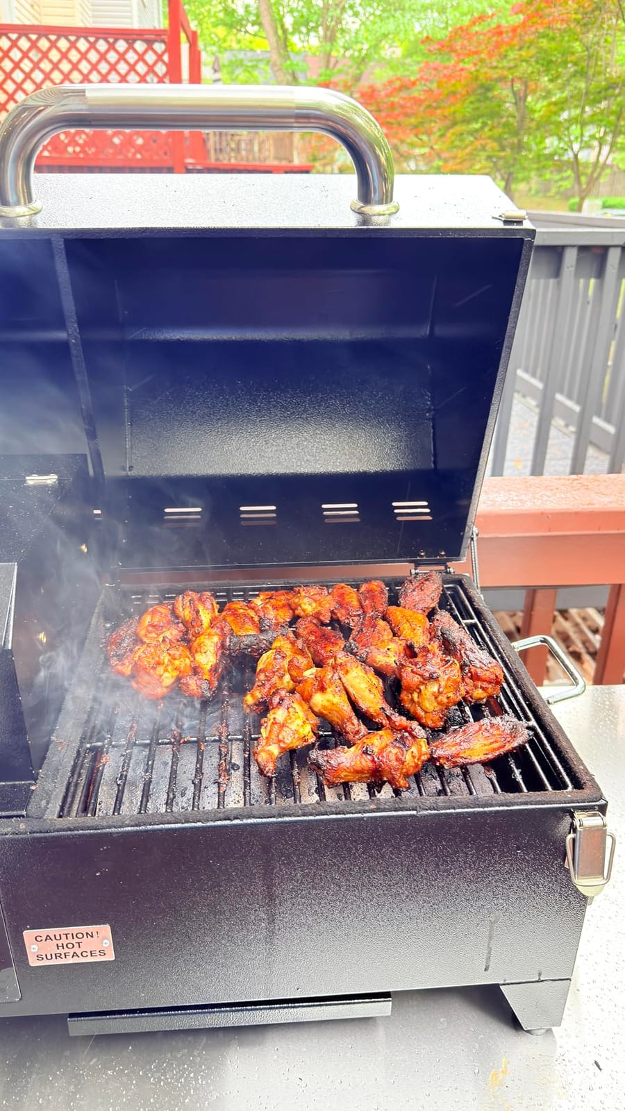 Freedom Portable Pellet Grill & Smoker, 242 Sq In, Dual Probes customer photo 2