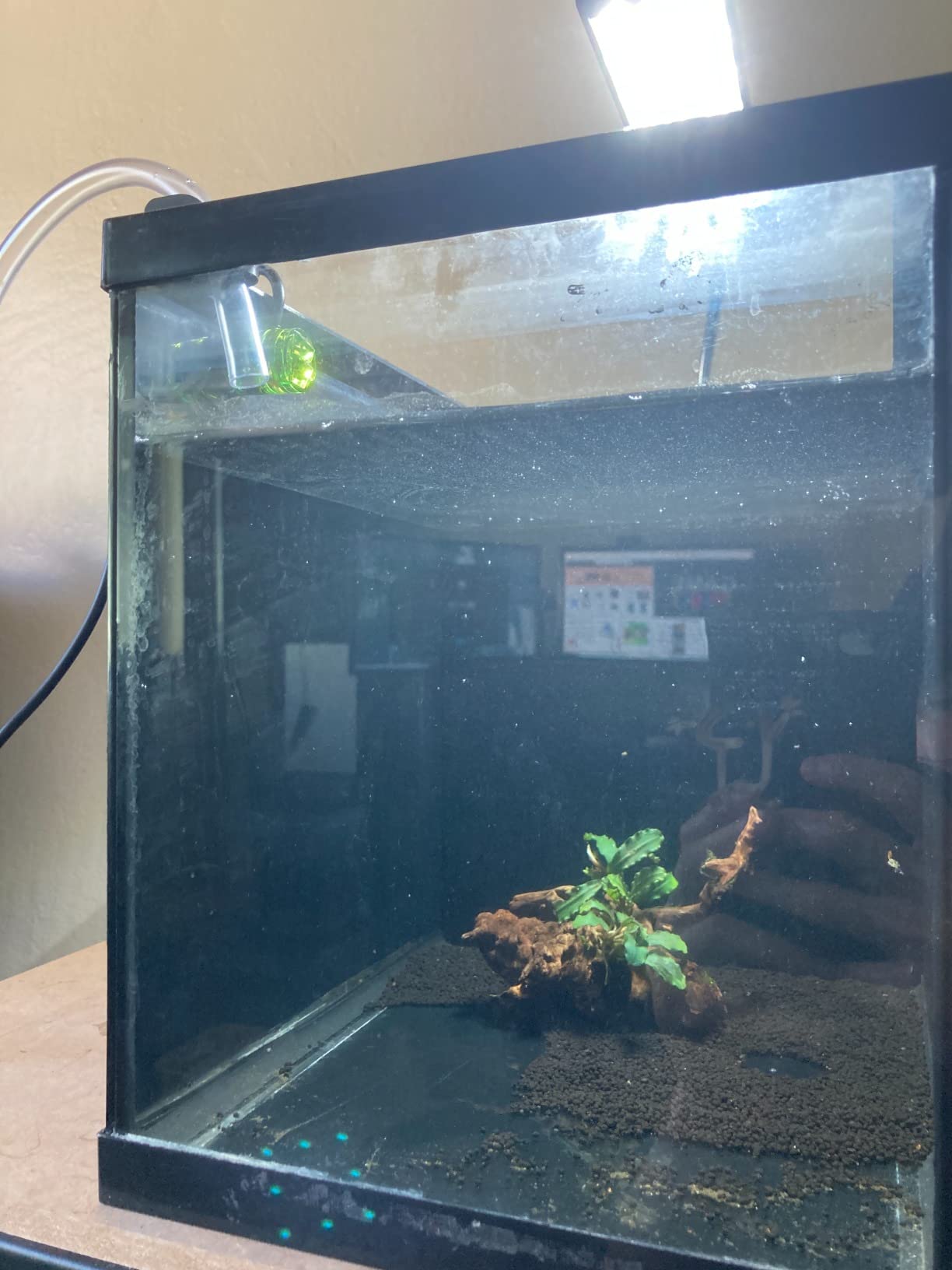 MagTool Auto Top Off System for Saltwater Aquarium, ATO Aquarium Auto Top Off with Dual Optical Sensor for Reef & Fresh Tanks -Blue customer photo 1