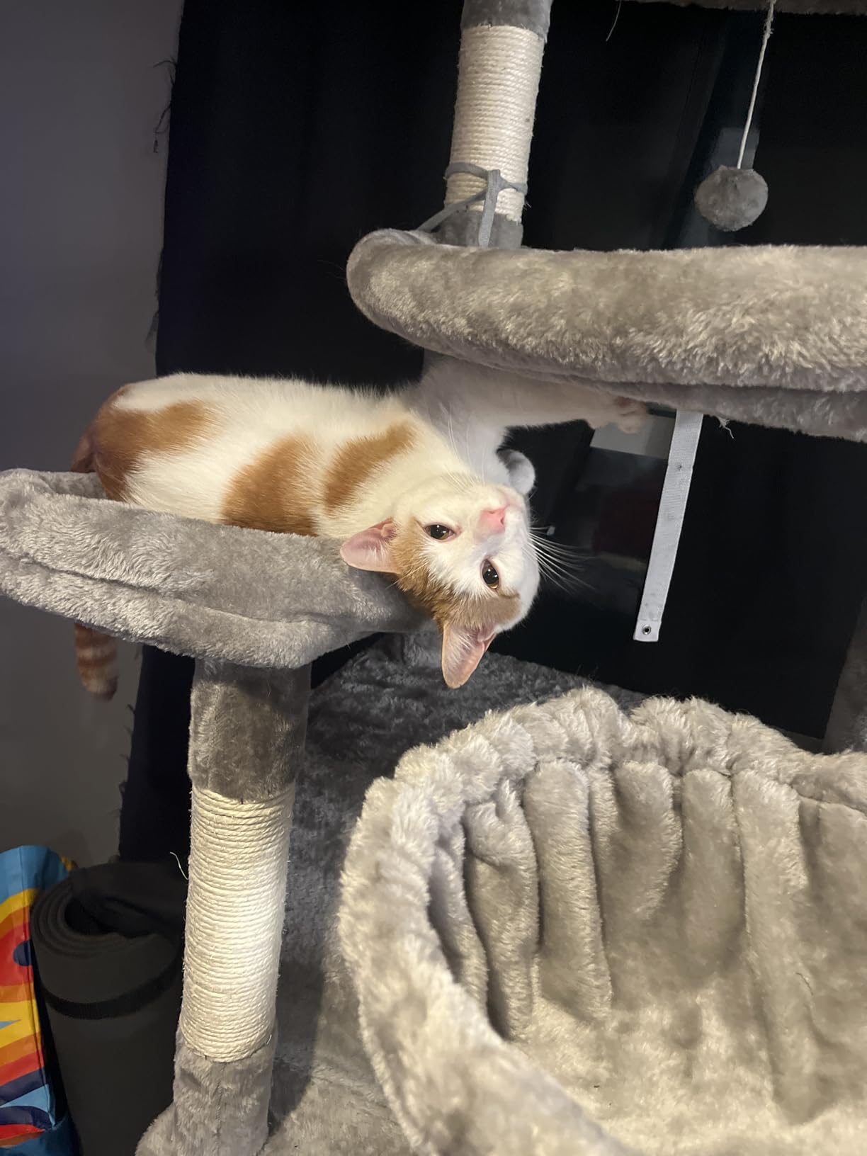 Taoqimiao Heavy-Duty Cat Tree, 71 in Cat Tower for Large Cats 20lbs+ customer photo 1