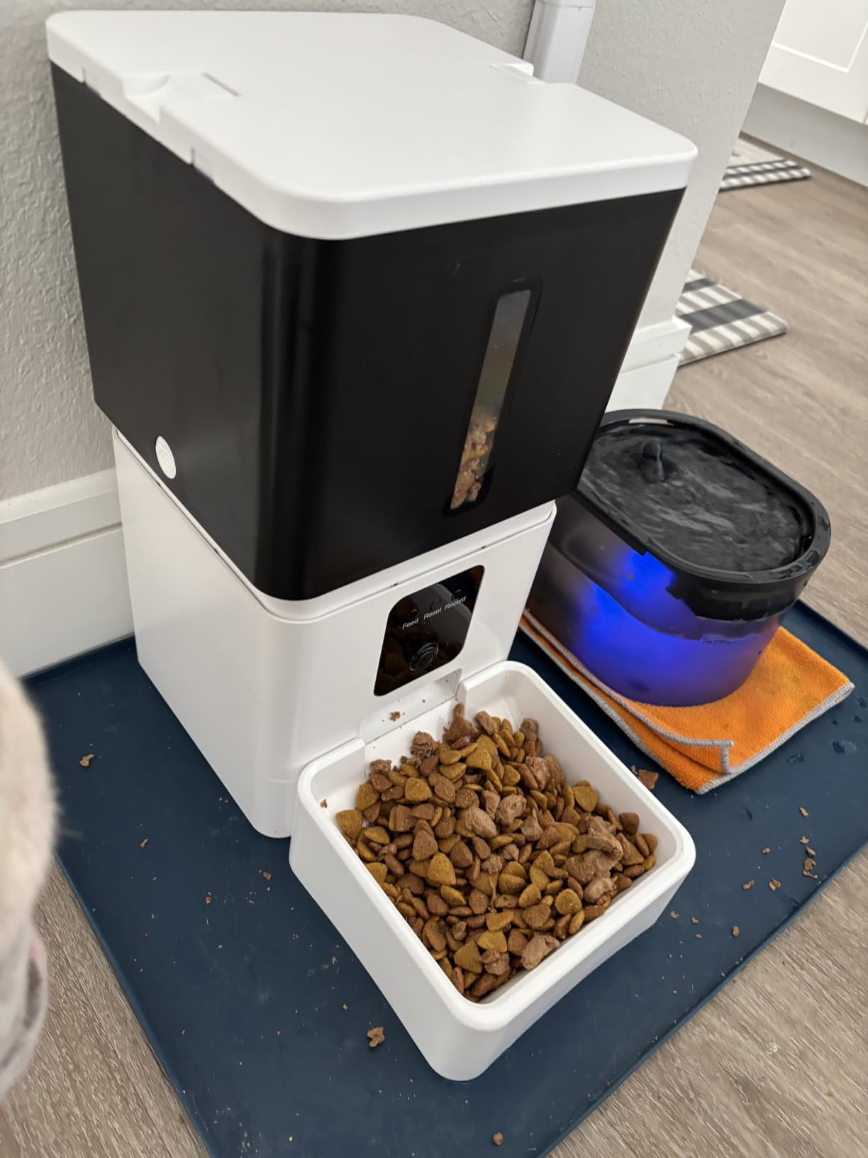 UTCG Automatic Dog Feeder with Camera: 8L/33 Cups 5G WiFi customer photo 2