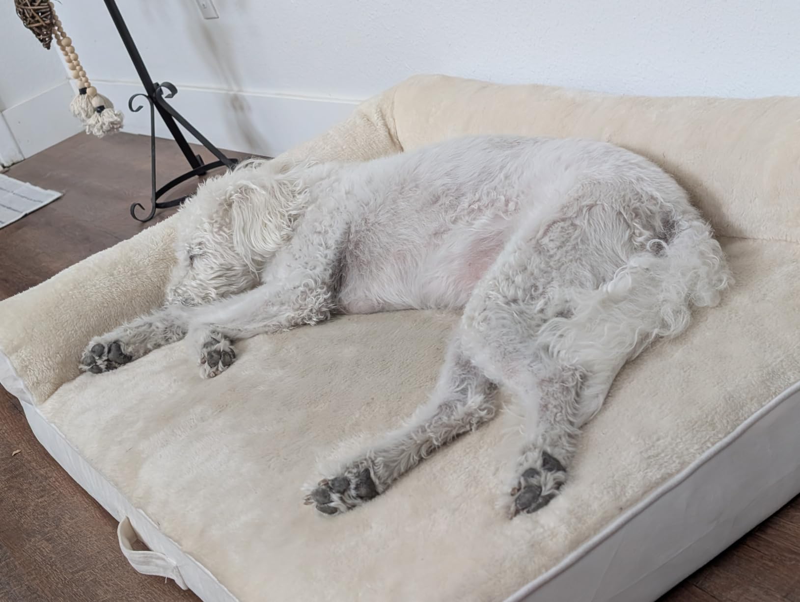 XL Orthopedic Dog Bed for Large Sized Dogs, 42