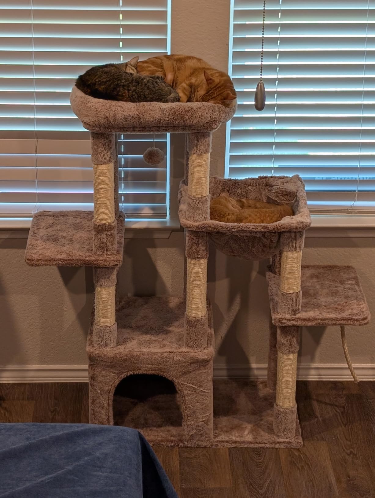 Heybly Heavy Duty Cat Tree with Large Base for Large Indoor Cats HCT026W customer photo 2