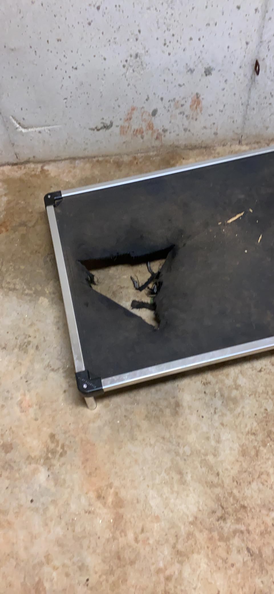K9 Ballistics Chew Proof Elevated Cot Bed, L, Obsidian Black Ripstop customer photo 1